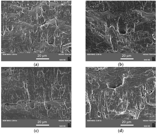 Microstructural Dependence of the Impact Toughness of TP316H