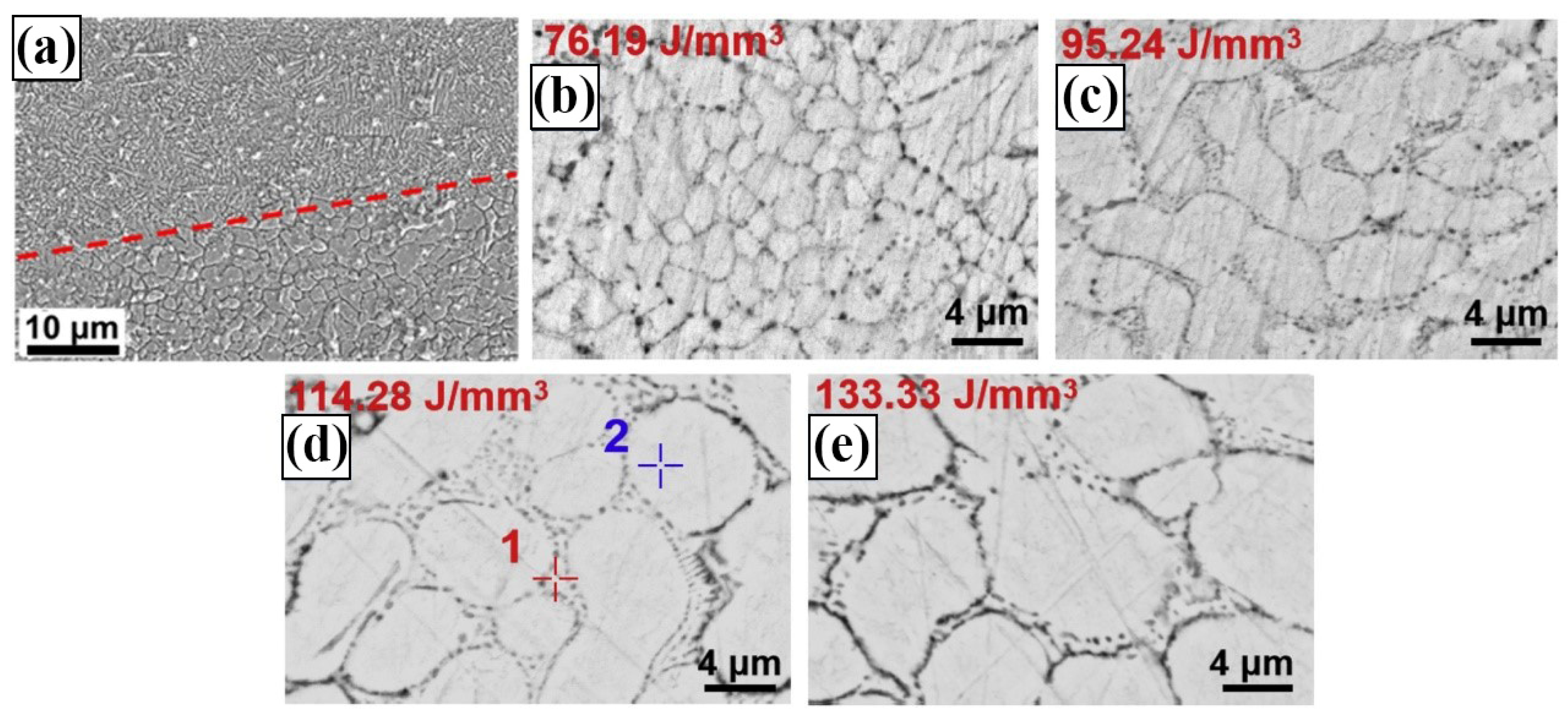 Materials 17 04309 g008