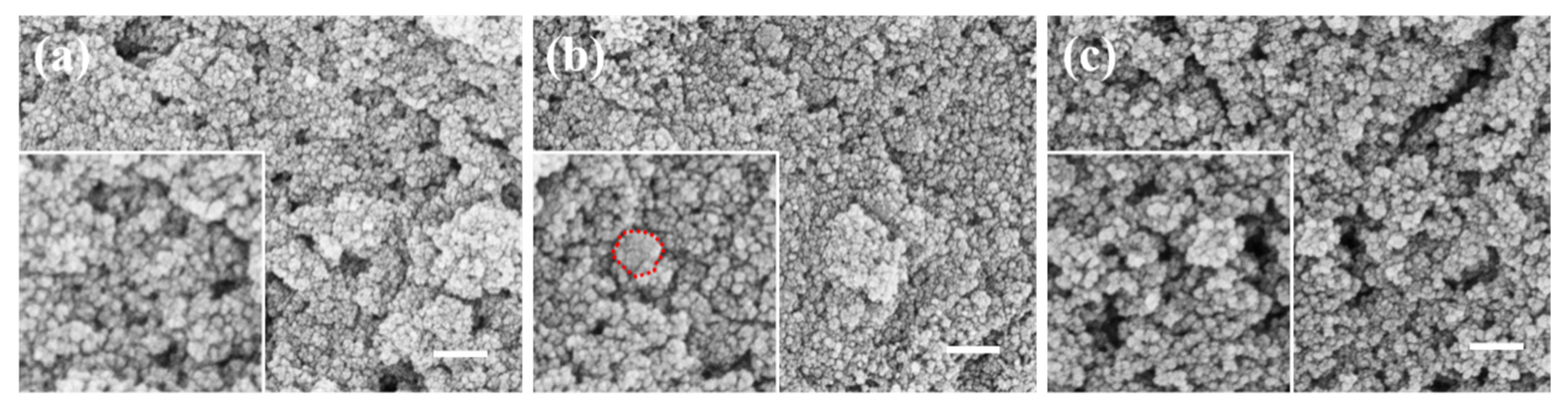 Materials 17 04325 g005