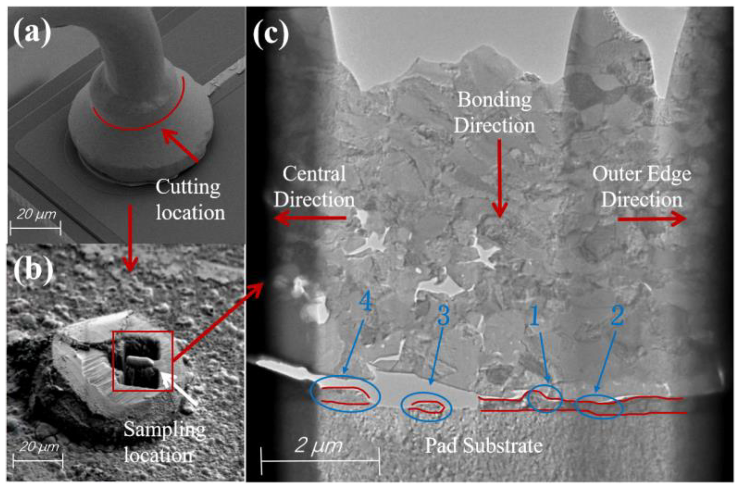 Materials 17 04335 g002