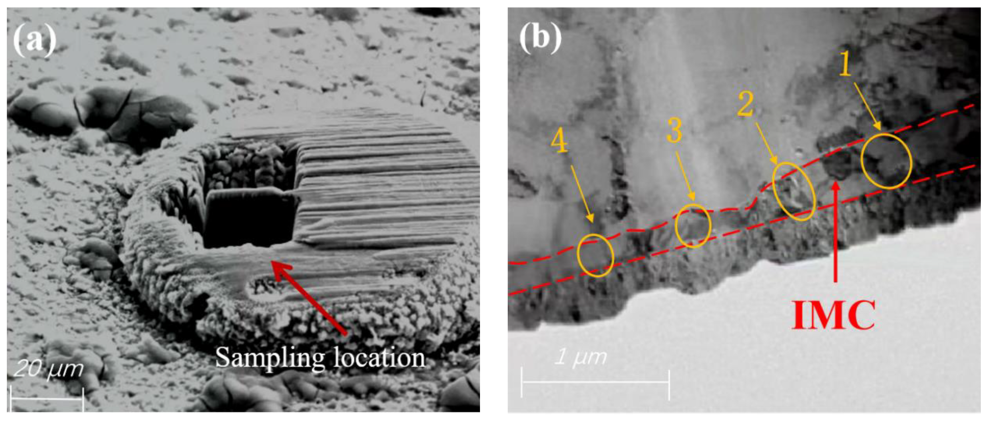 Materials 17 04335 g005