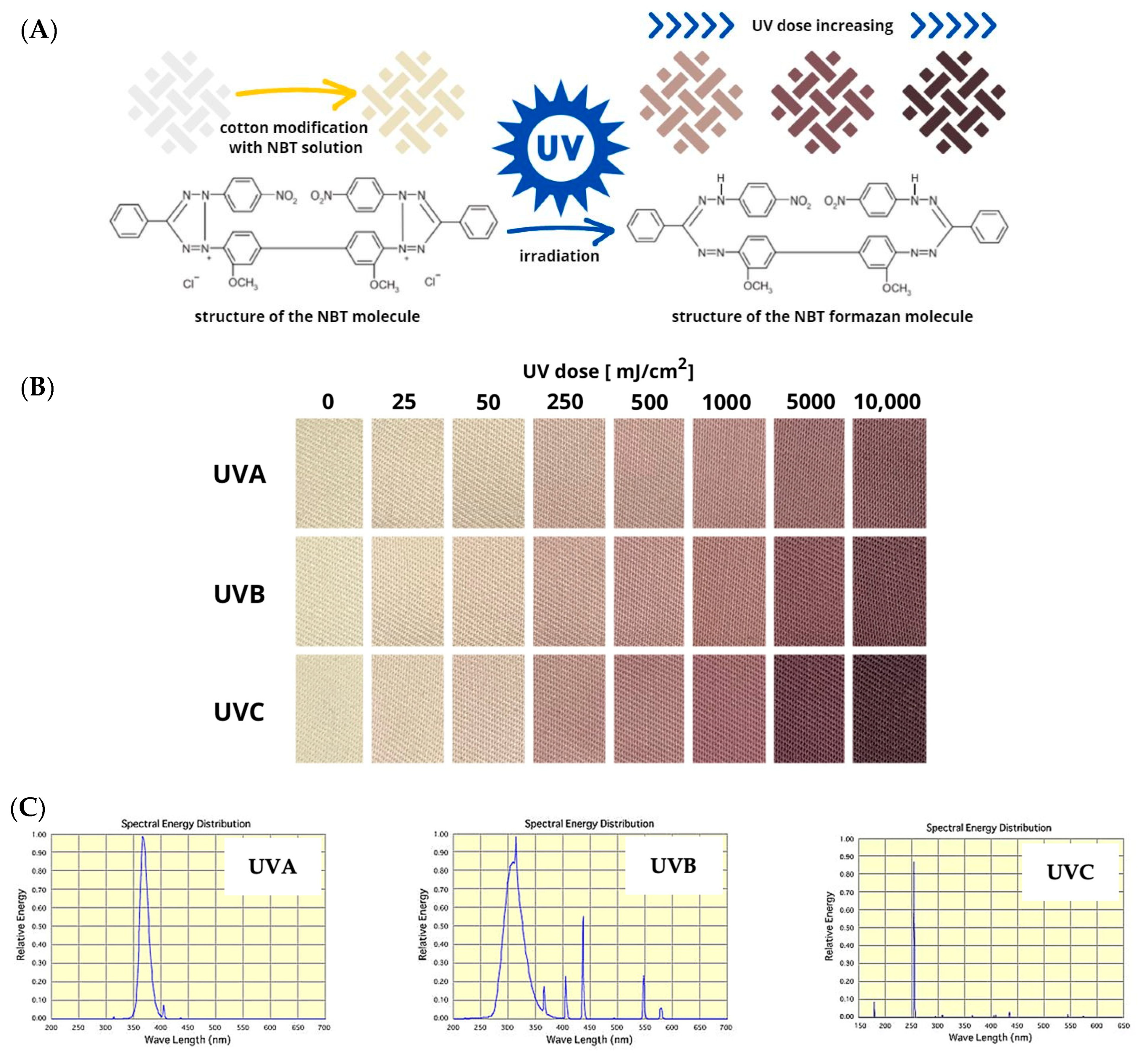 Materials 17 04339 g001