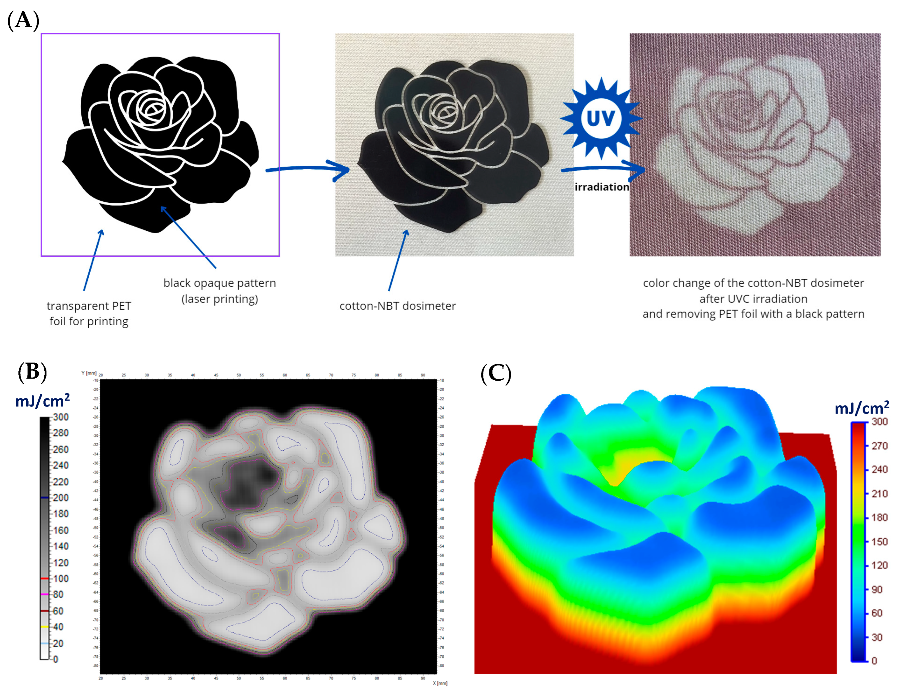 Materials 17 04339 g007