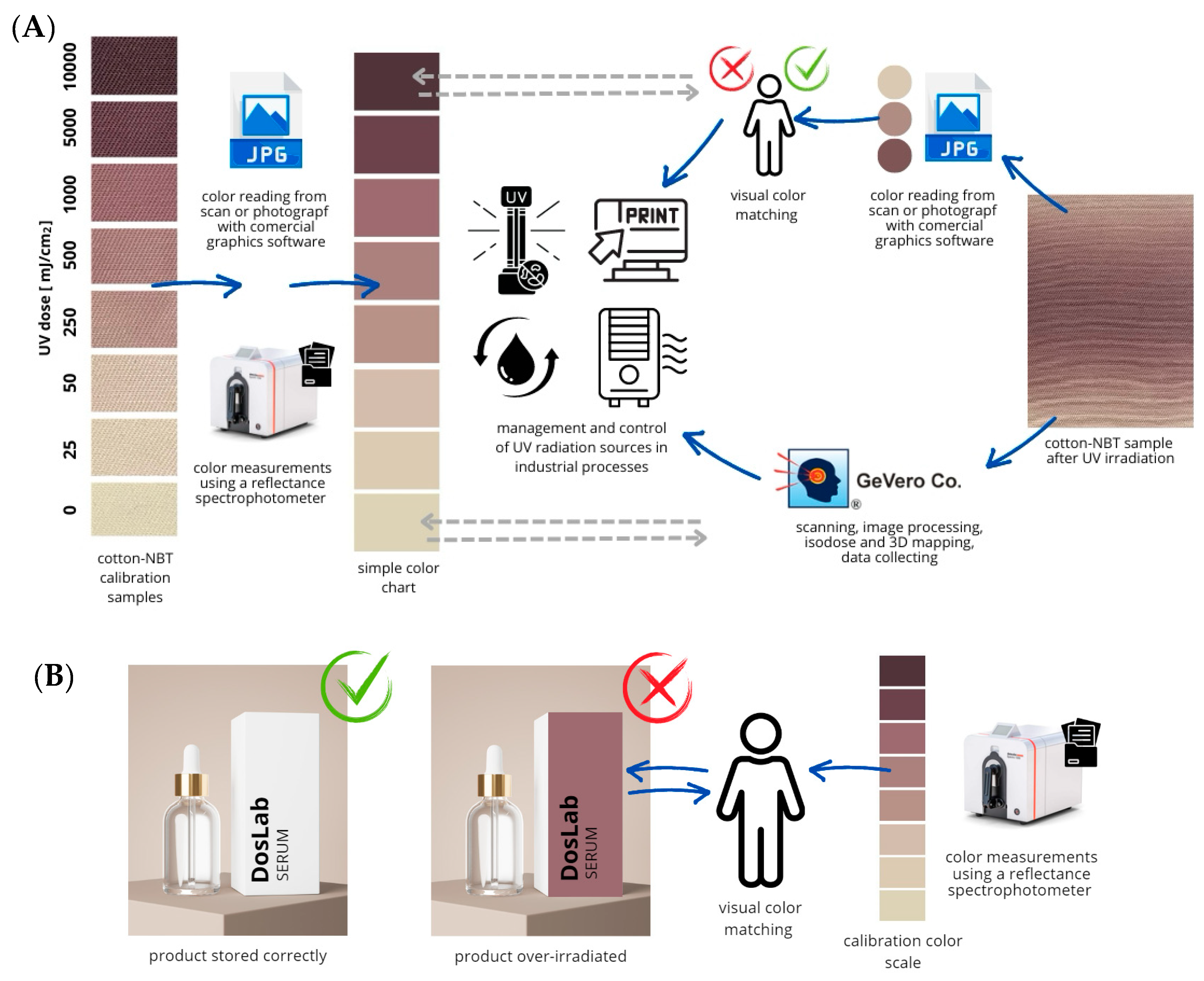 Materials 17 04339 g010