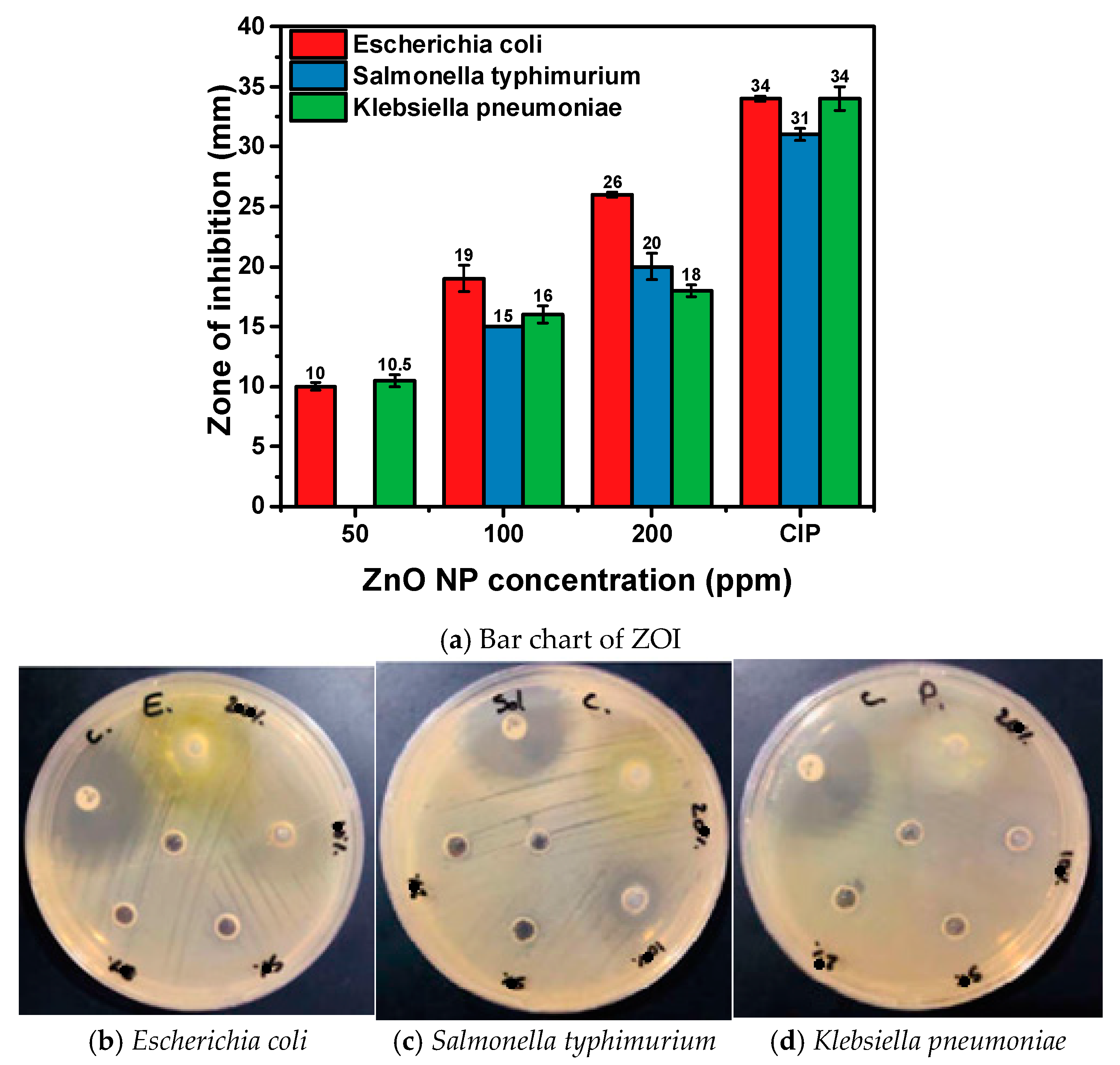 Materials 17 04340 g006