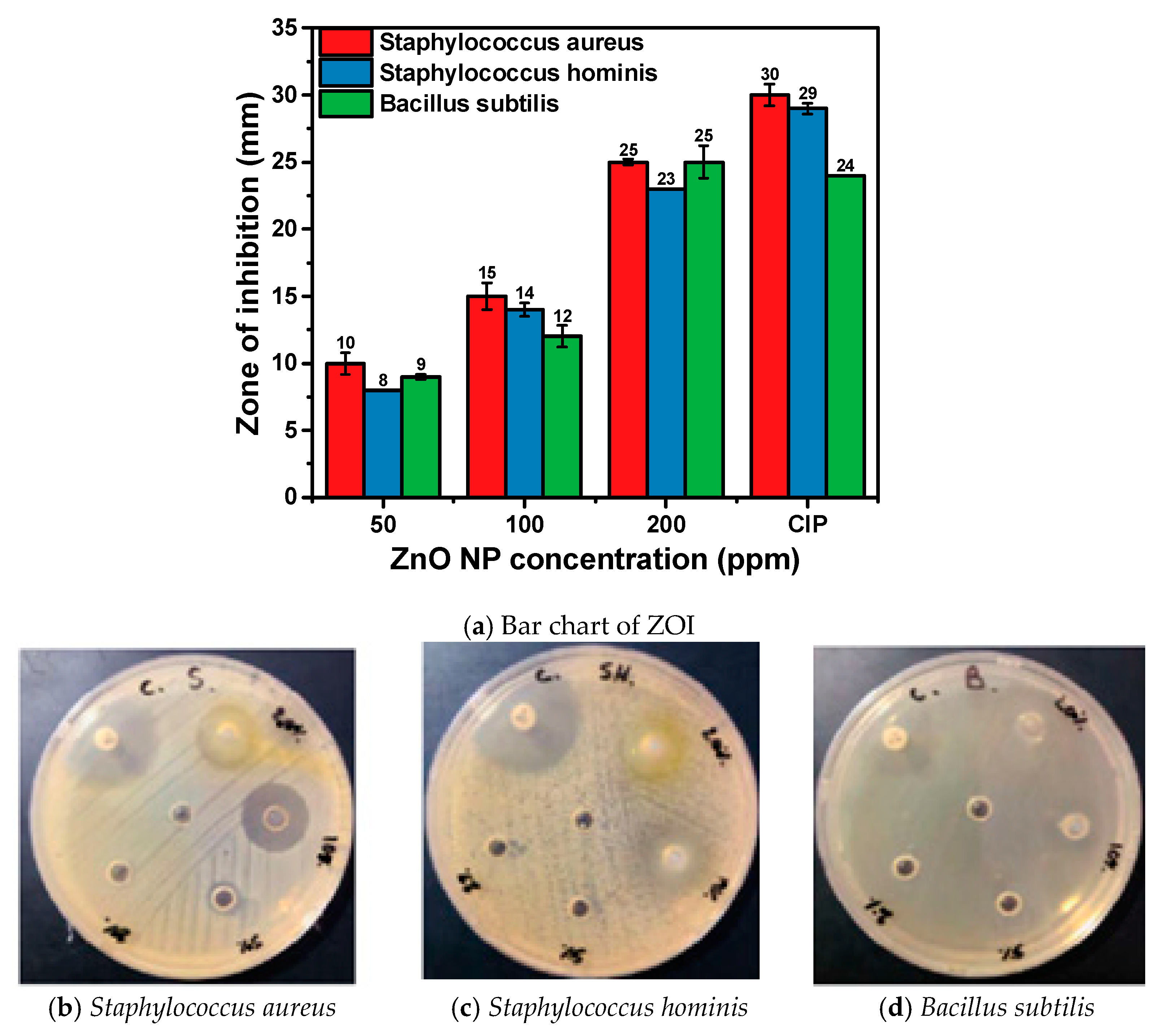 Materials 17 04340 g007