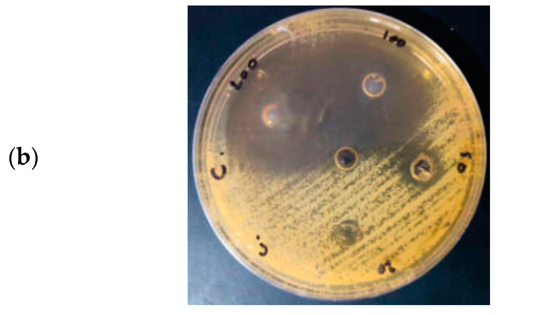 Materials 17 04340 g008b