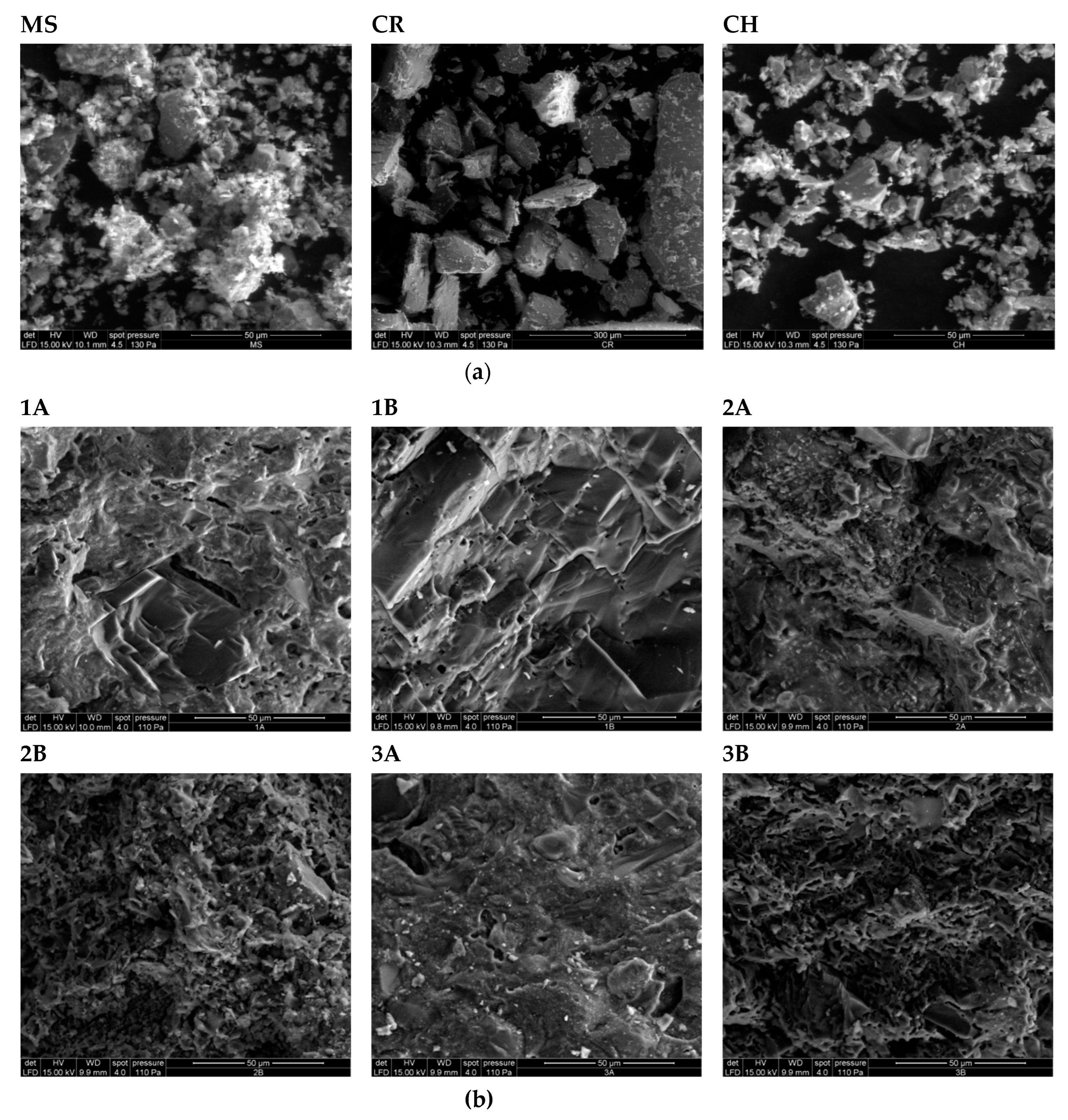 Materials 17 04365 g007