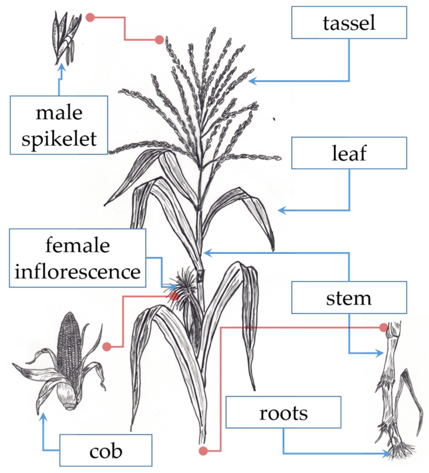 Materials 17 04374 g002