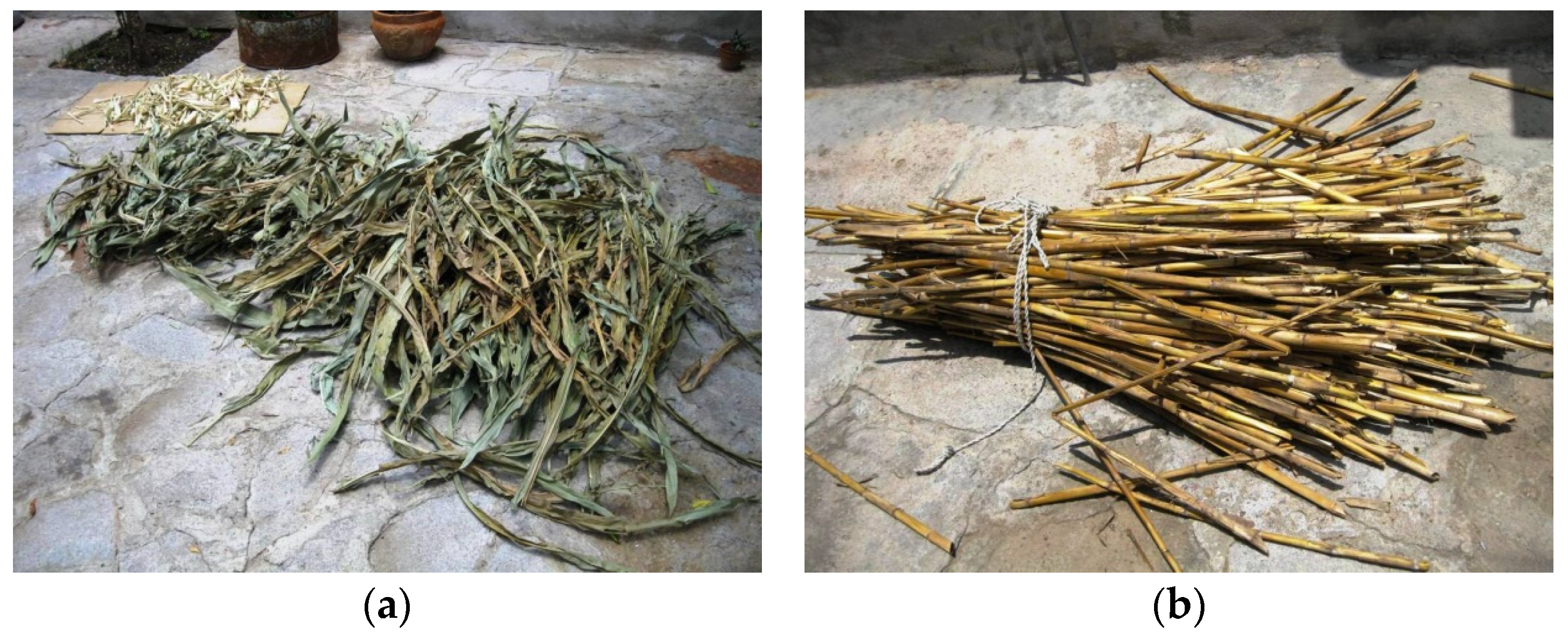 Materials 17 04374 g008