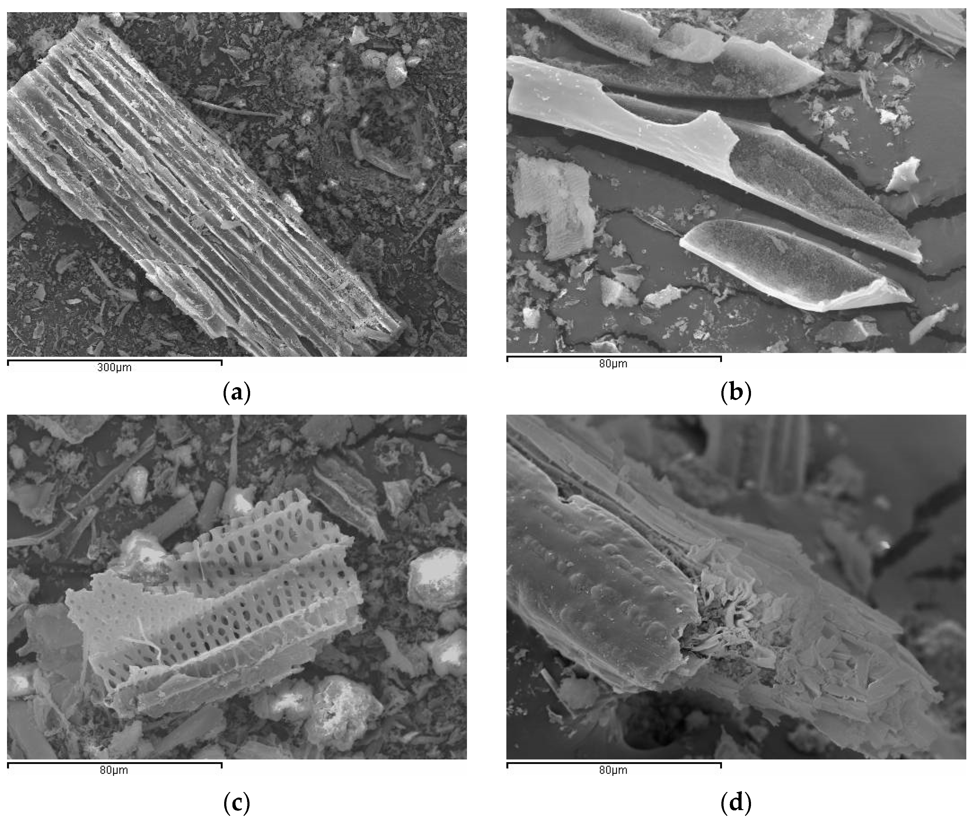 Materials 17 04374 g010