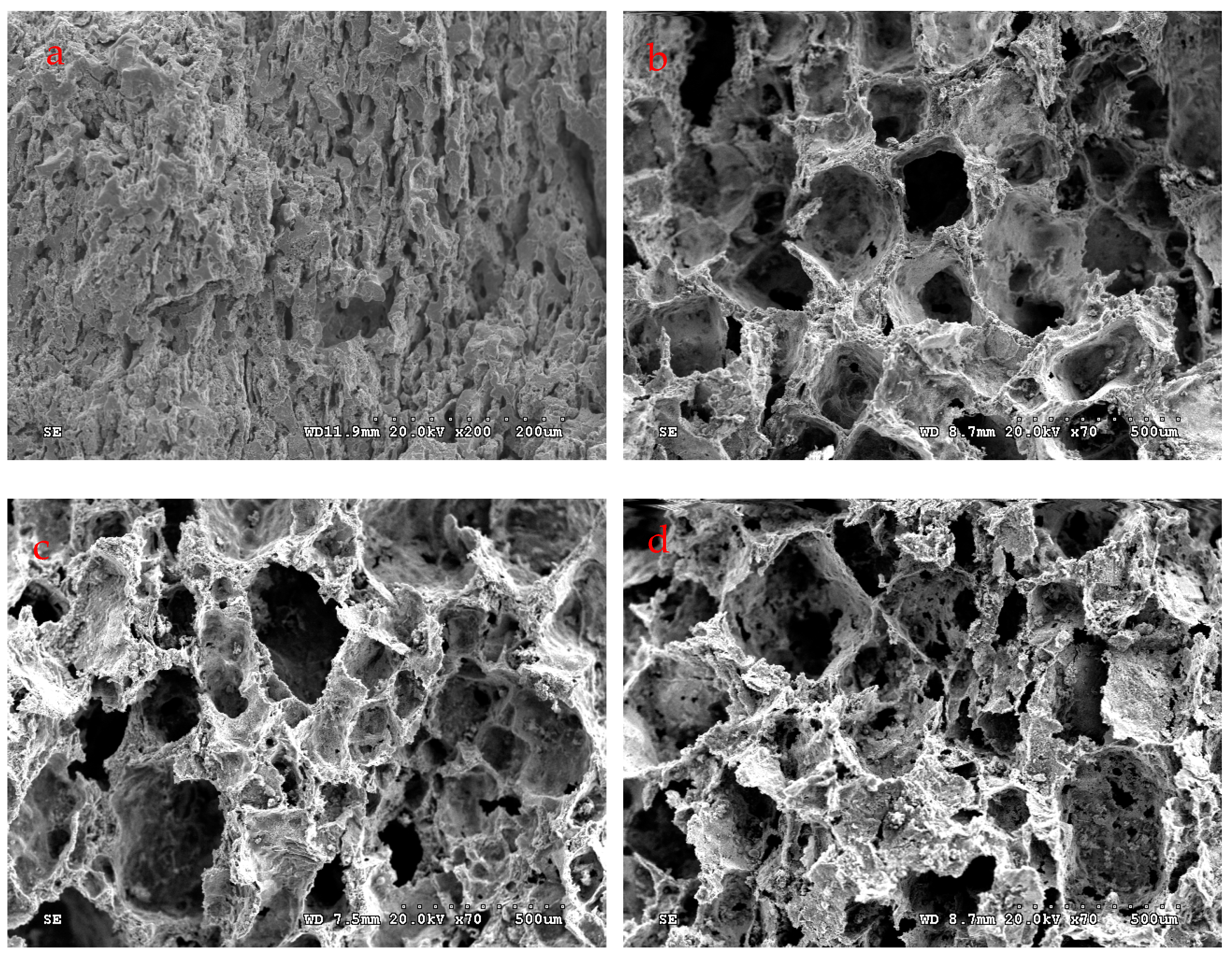 Materials 17 04380 g007