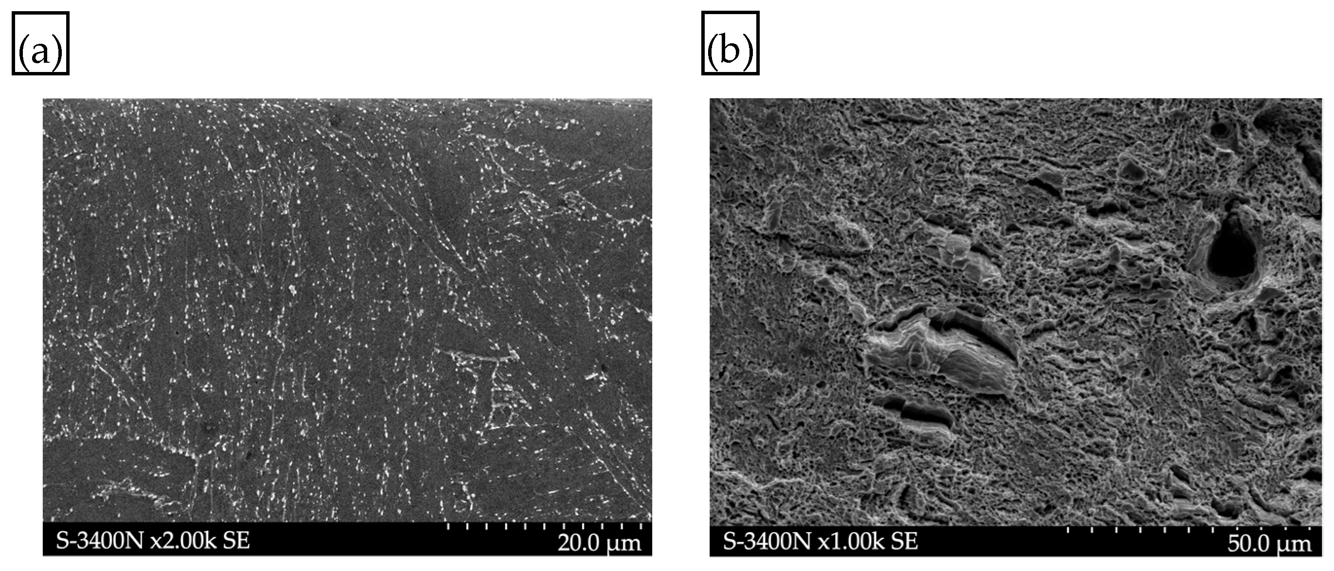 Materials 17 04398 g011