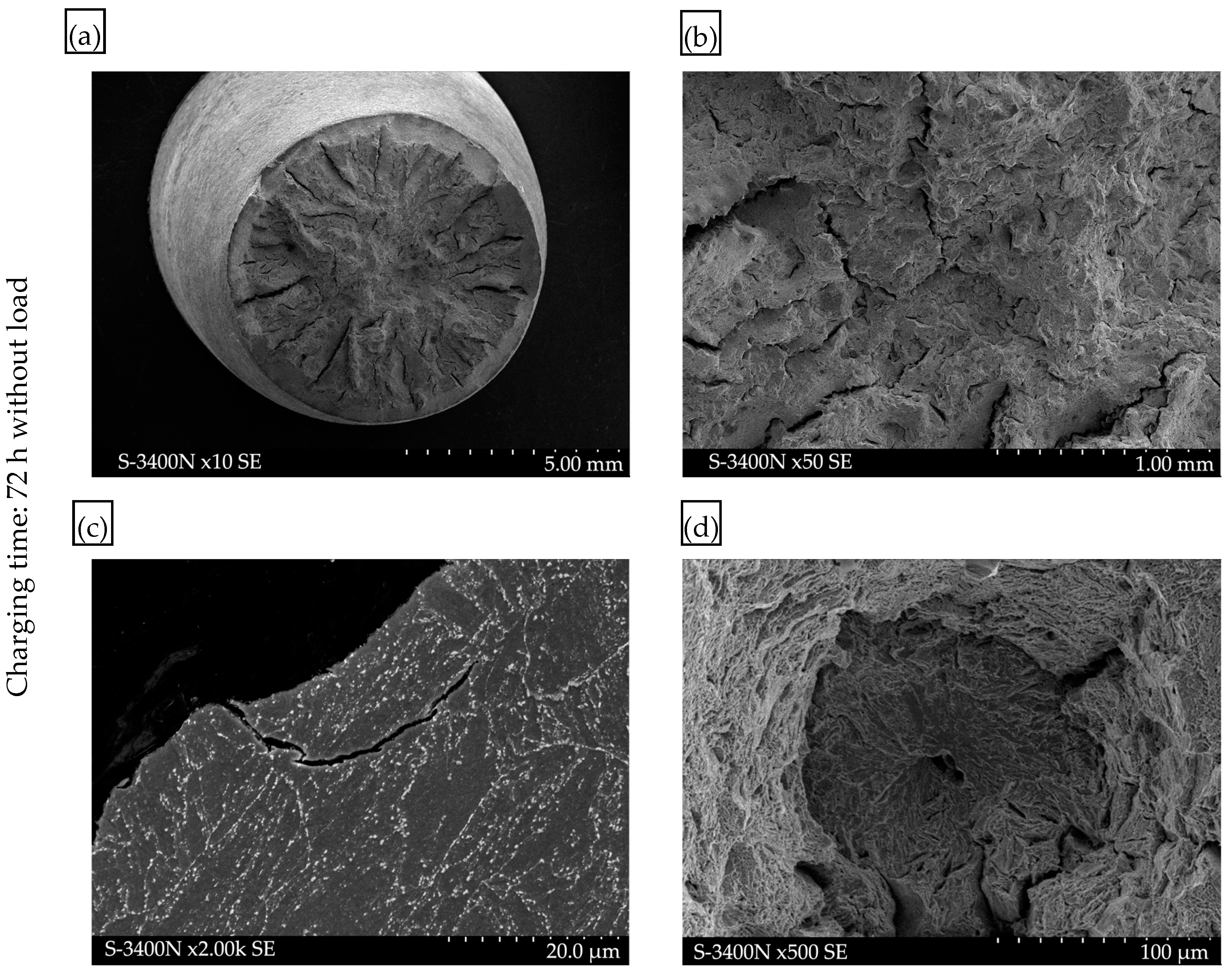 Materials 17 04398 g012