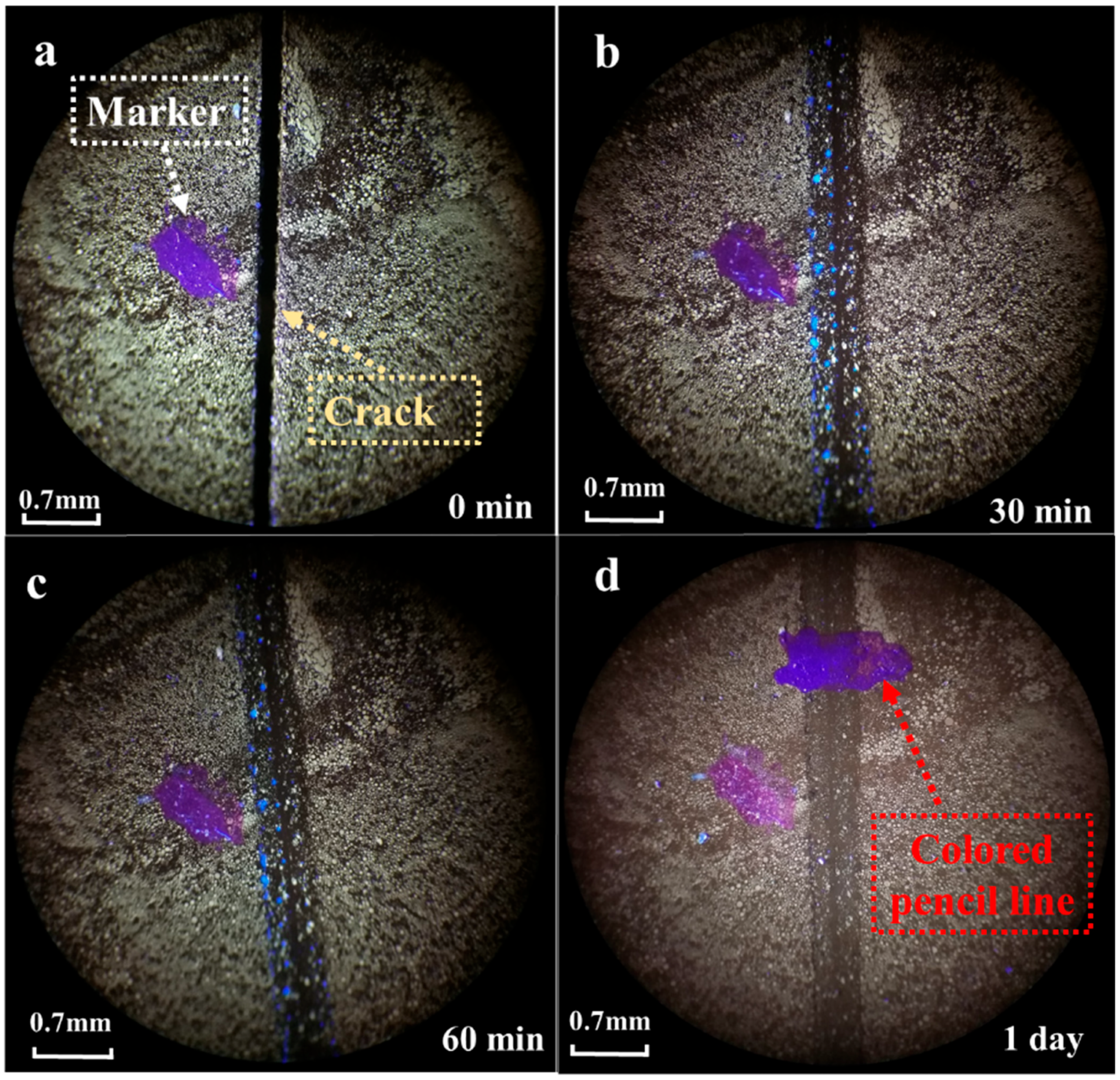 Materials 17 04403 g013
