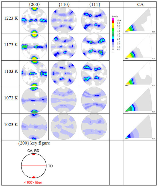 Texture of Hot-Compressed Metastable β-Titanium Alloy Ti5321