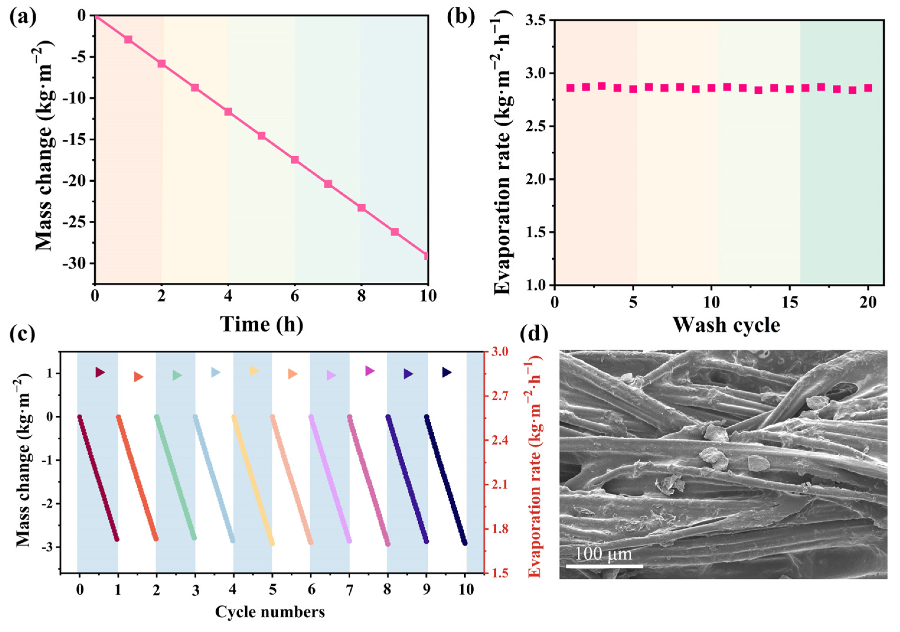 Materials 17 04419 g007