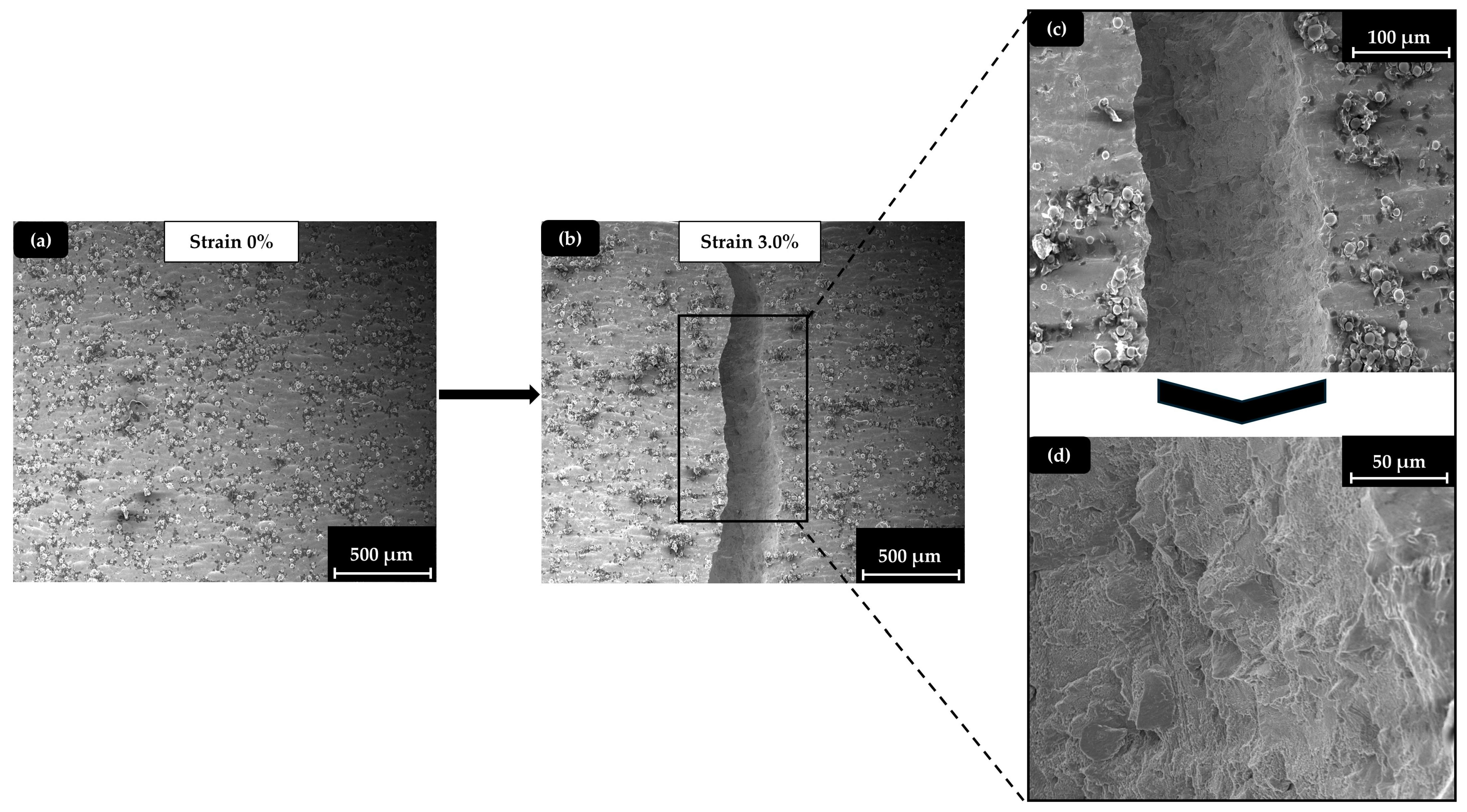 Materials 17 04433 g010