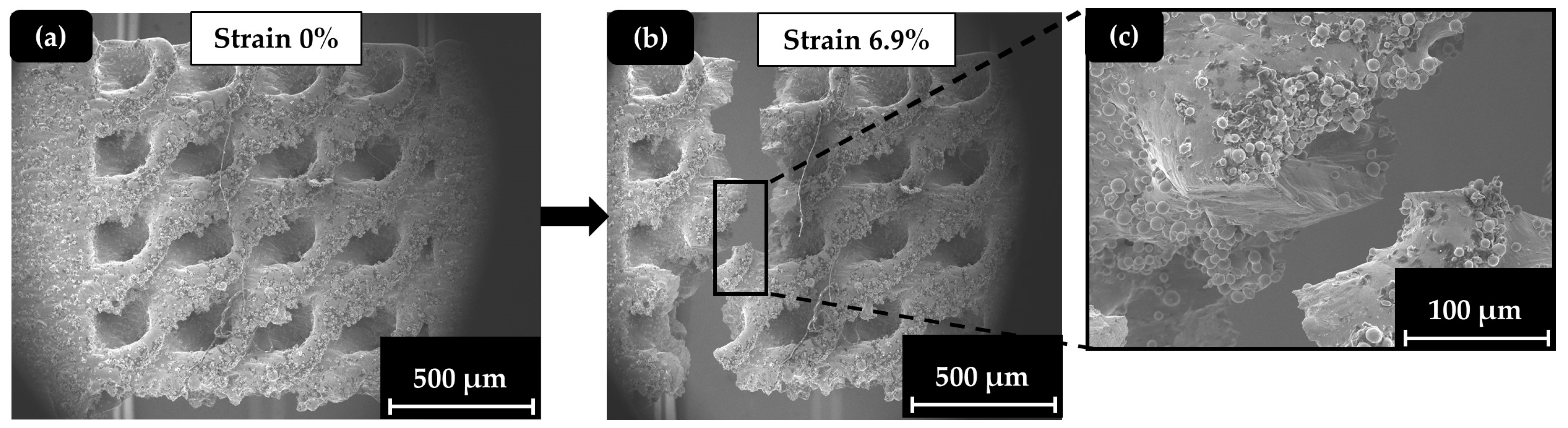 Materials 17 04433 g012