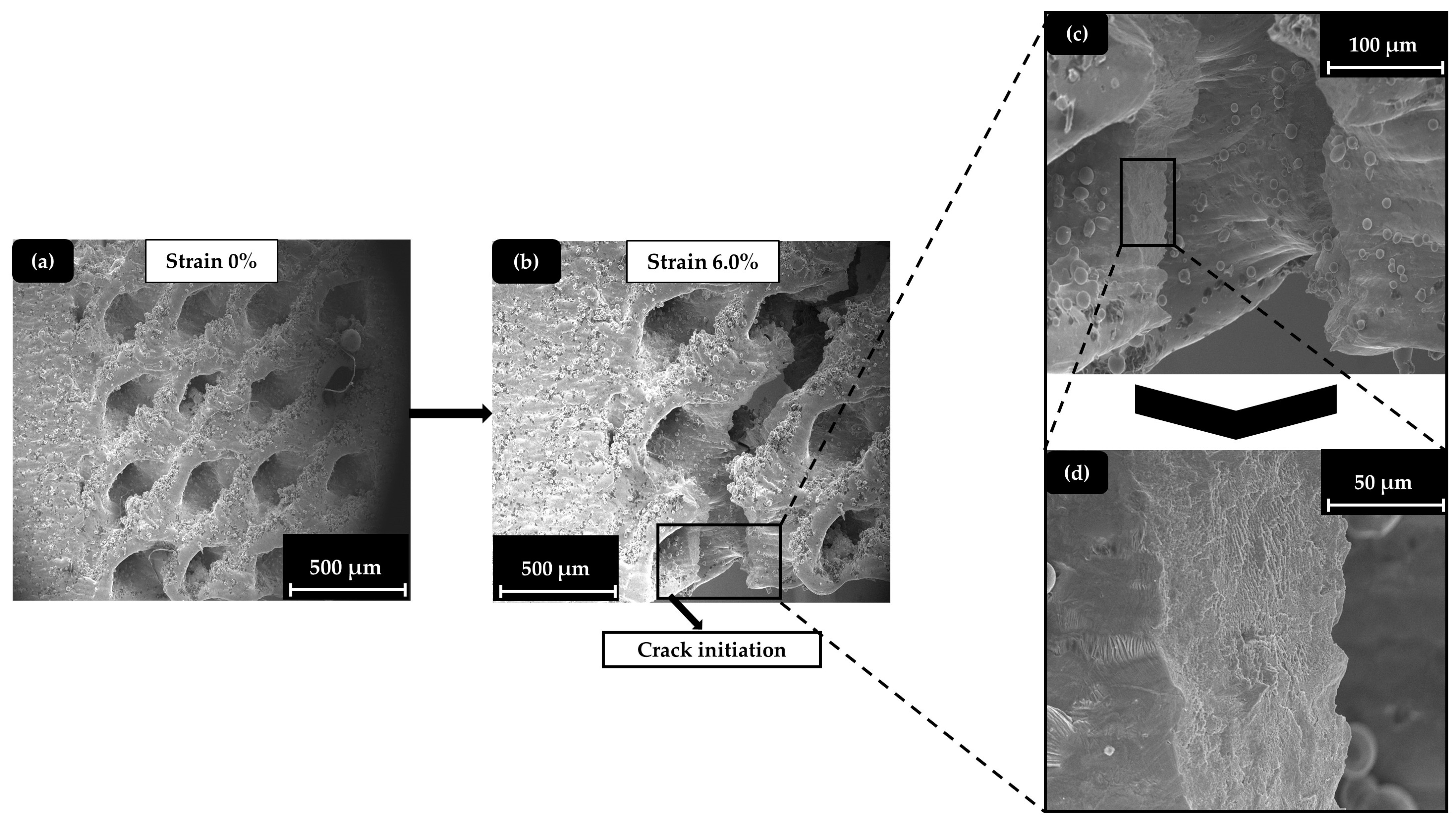Materials 17 04433 g013