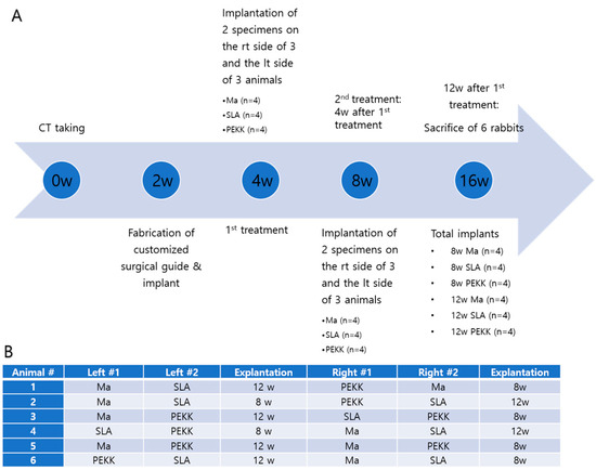 The Biocompatibility and the Effect of Titanium and PEKK on
