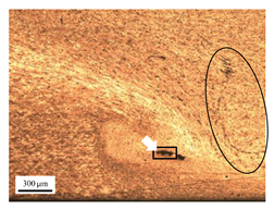 Materials 17 04447 i010