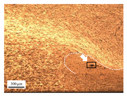 Materials 17 04447 i014