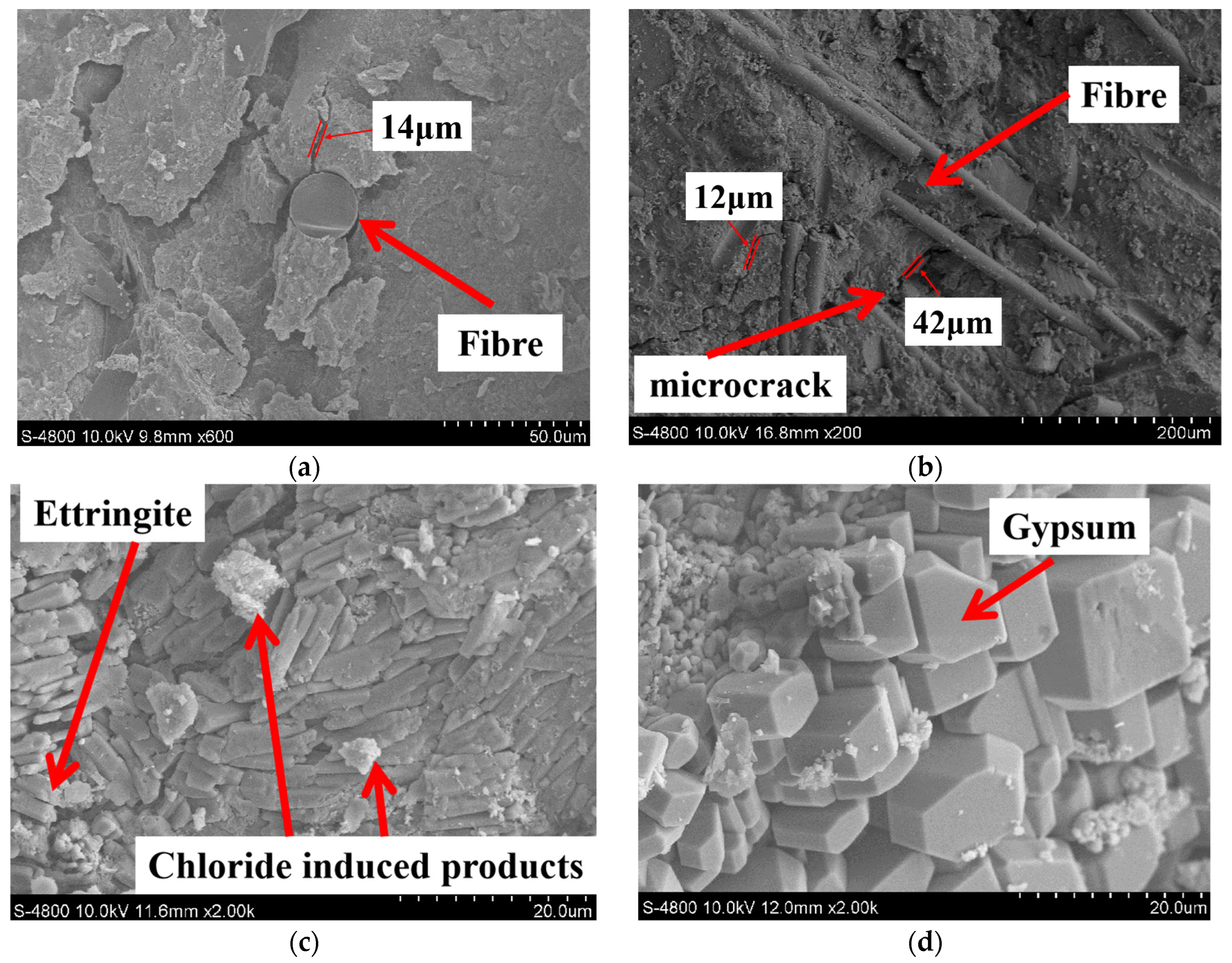 Materials 17 04454 g005 Materials 17 04454 g005