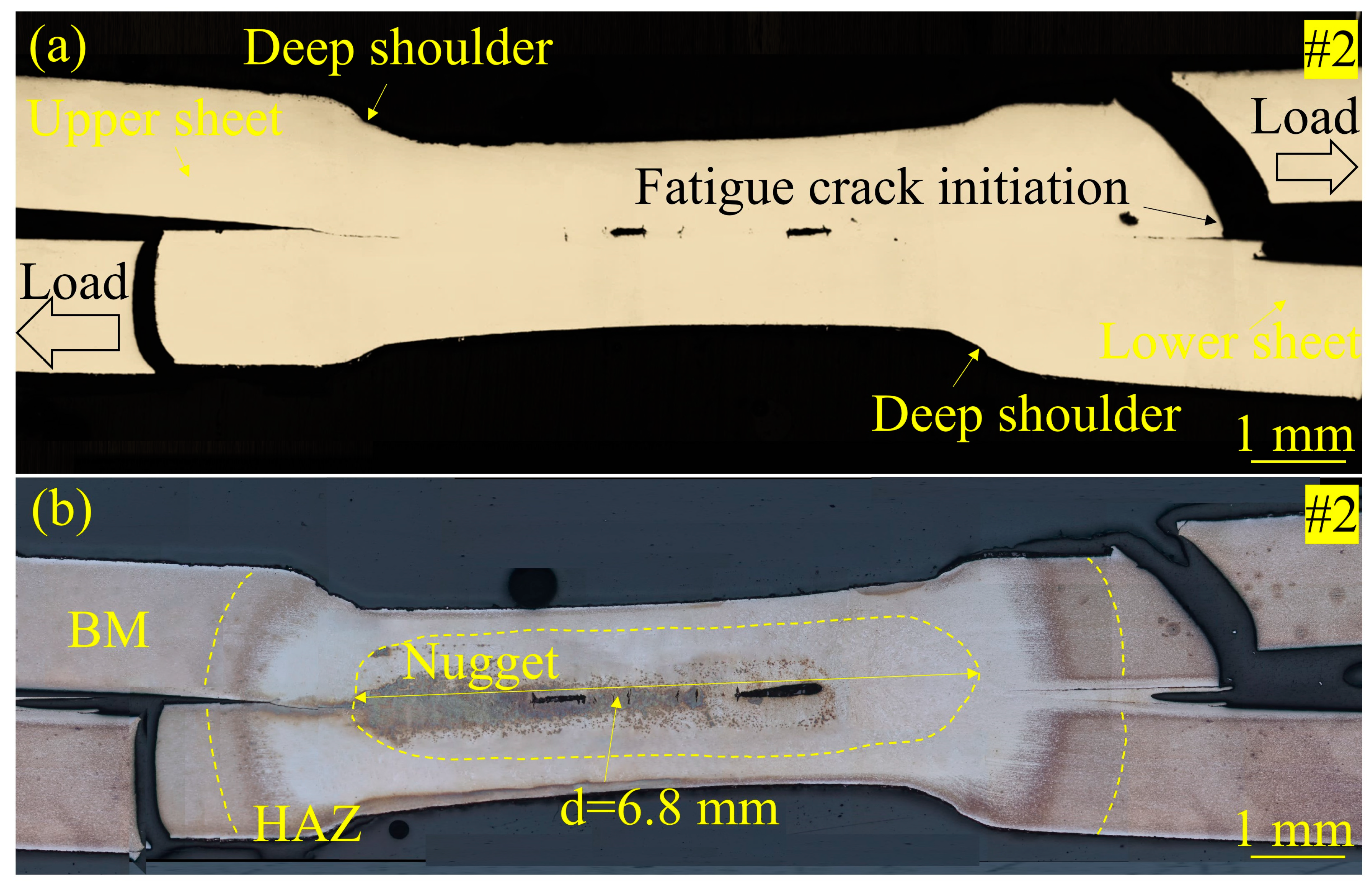 Materials 17 04463 g010