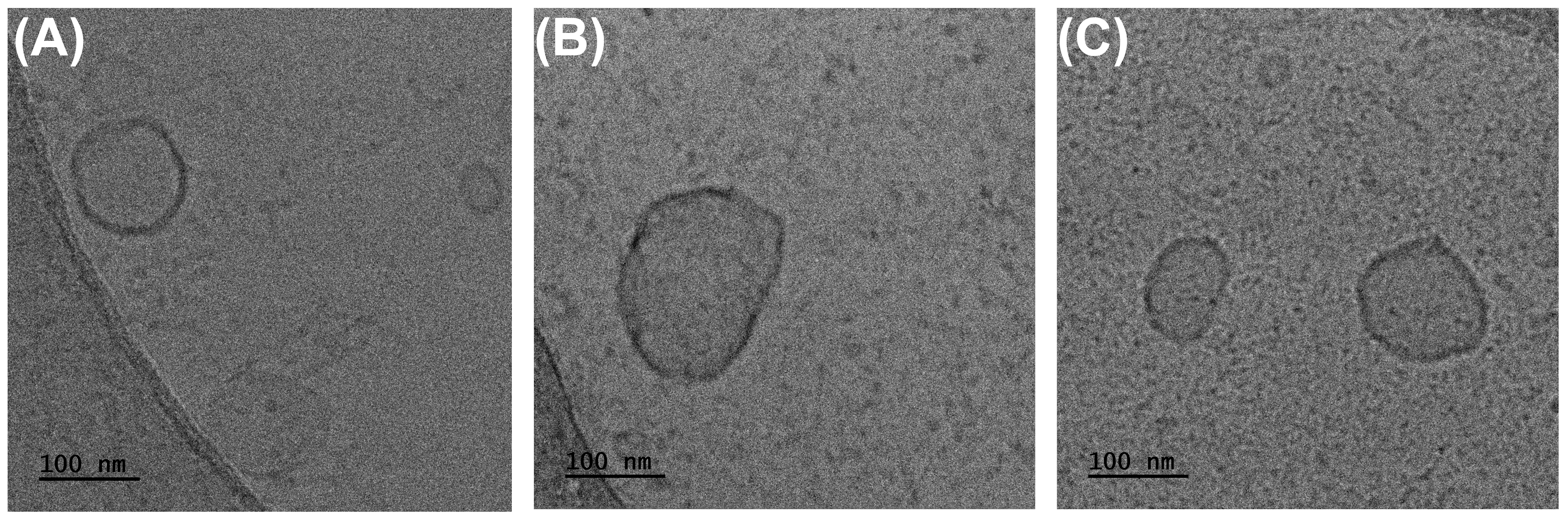 Materials 17 04472 g006