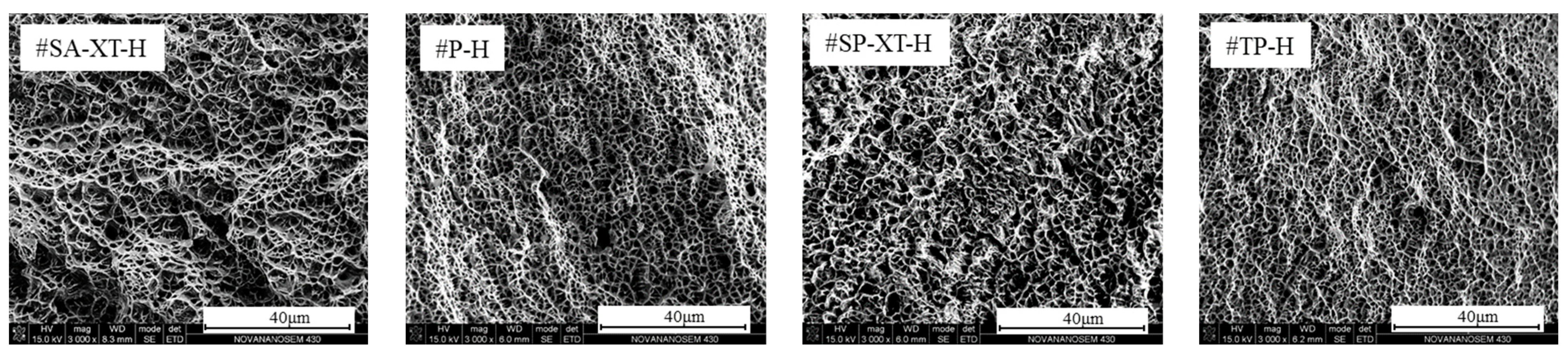 Materials 17 04479 g007