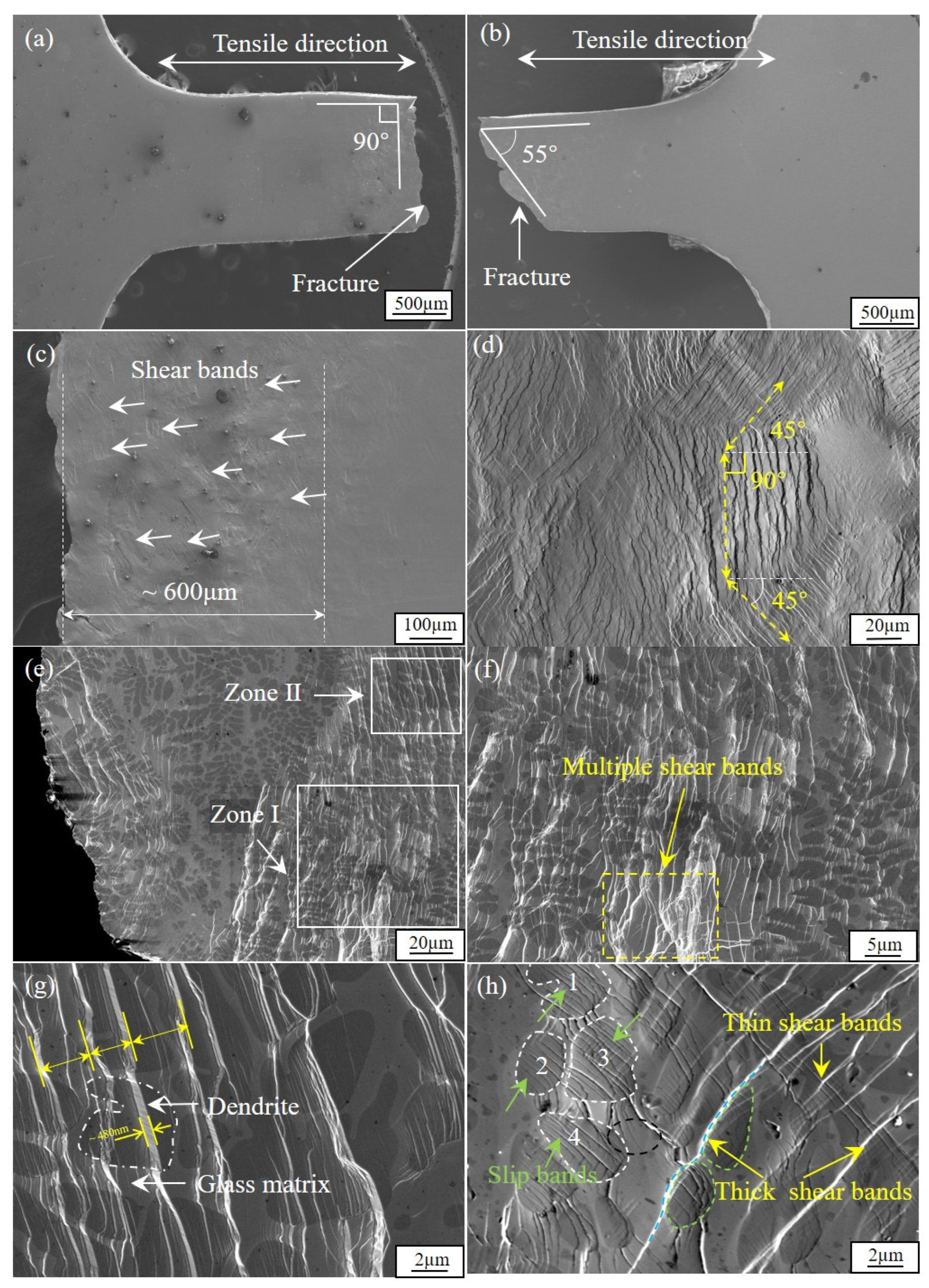 Materials 17 04486 g005