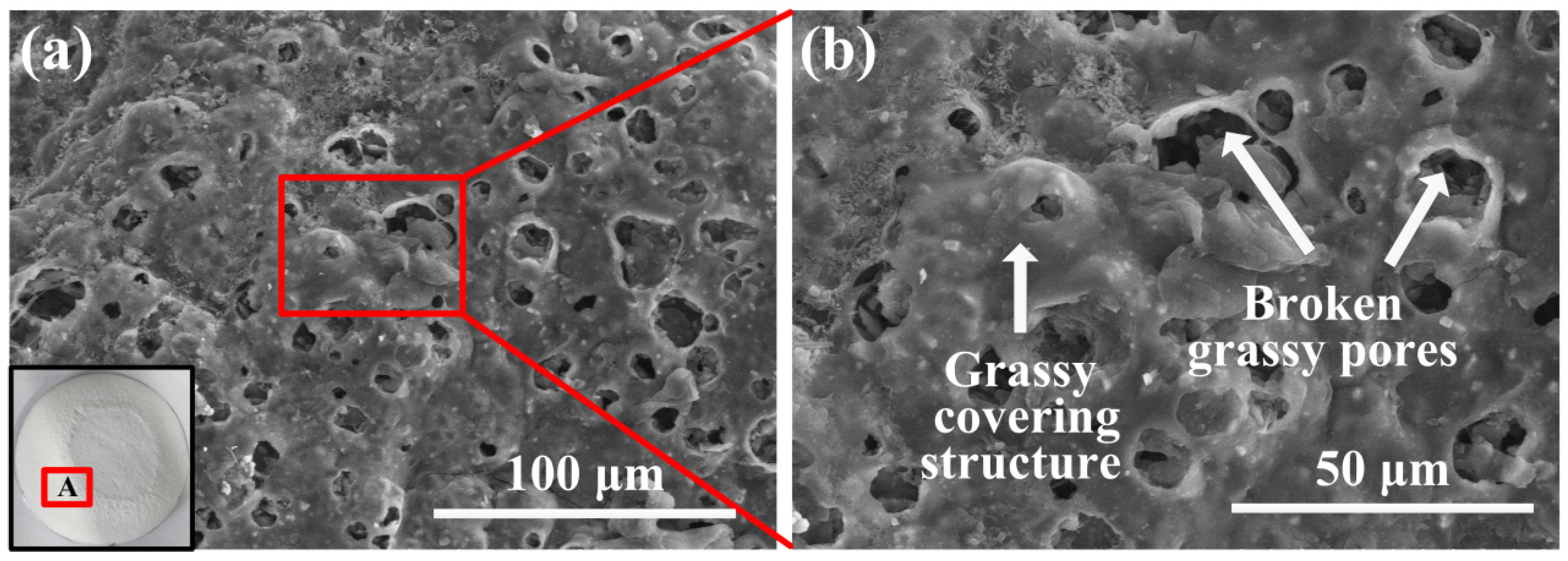 Materials 17 04493 g006