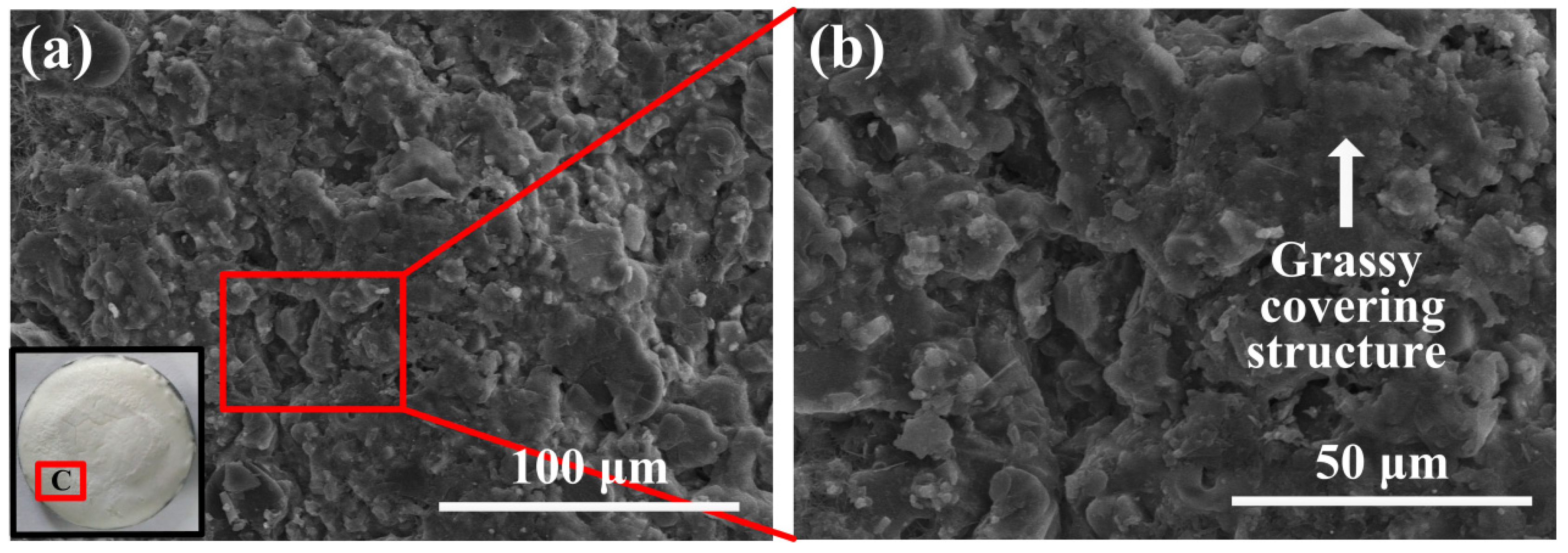 Materials 17 04493 g008