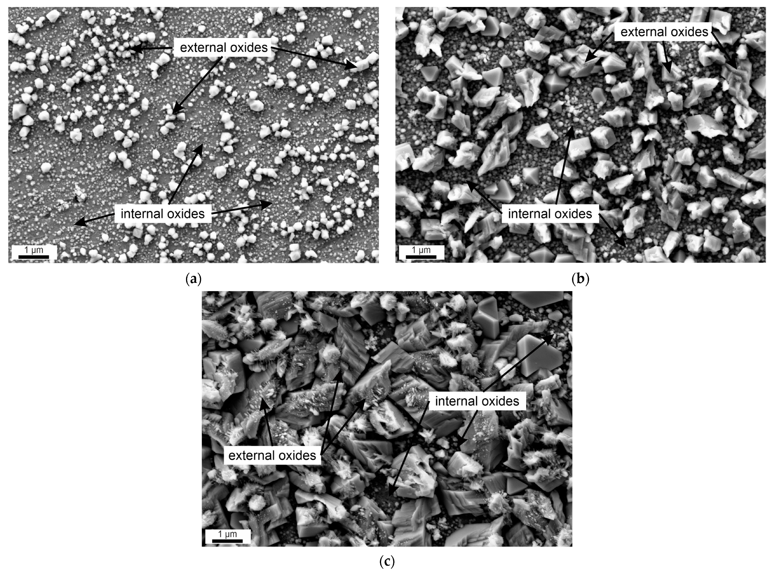 Materials 17 04500 g002 Materials 17 04500 g002