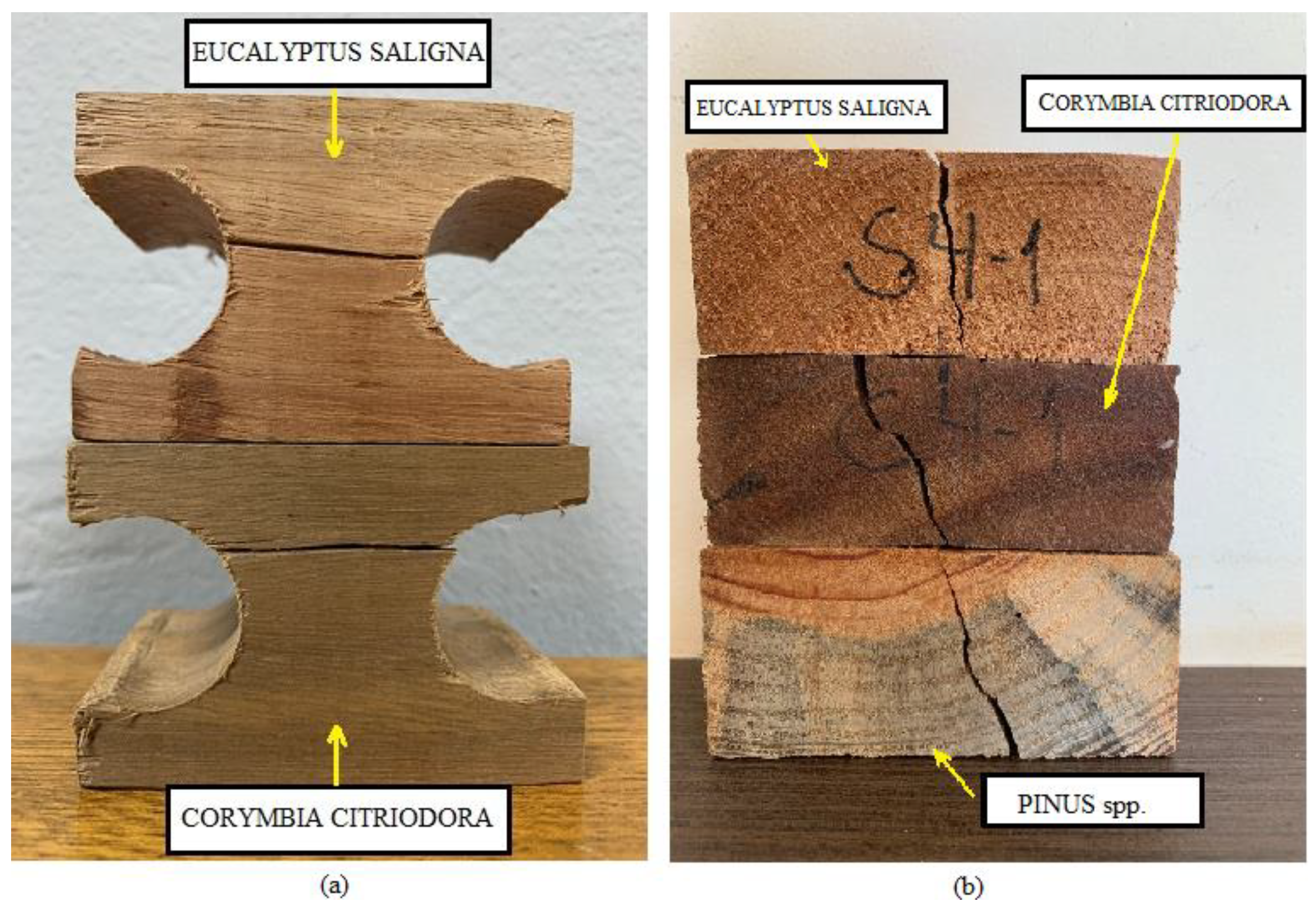 Materials 17 04506 g010