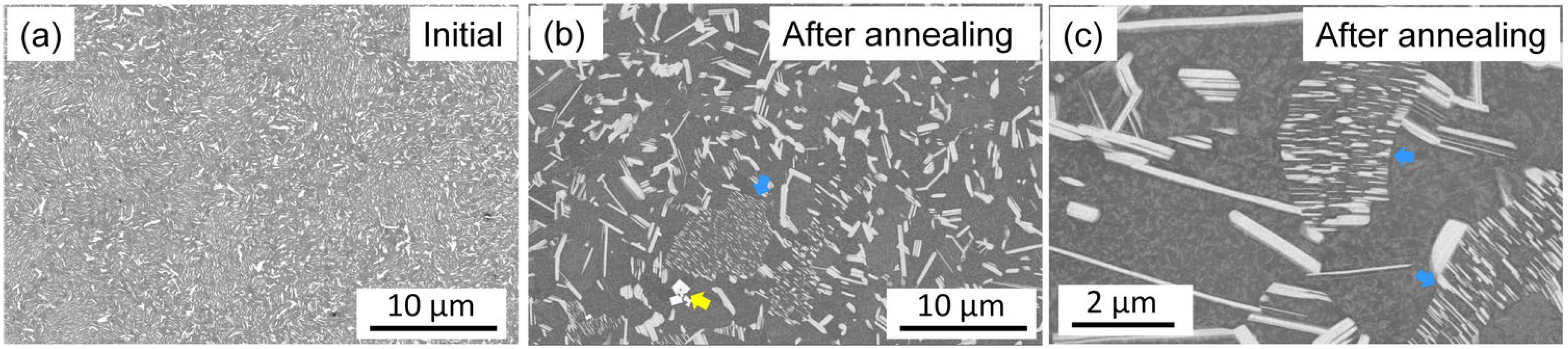 Materials 17 04511 g008