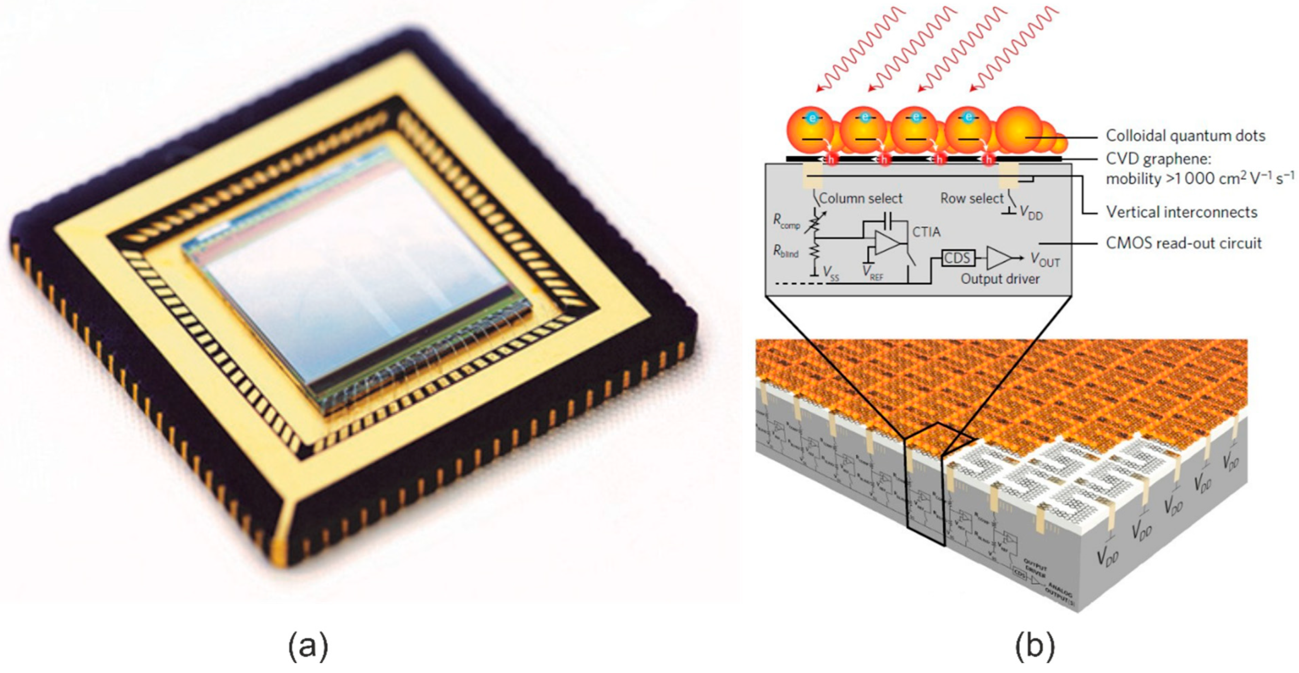 Materials 17 04522 g019