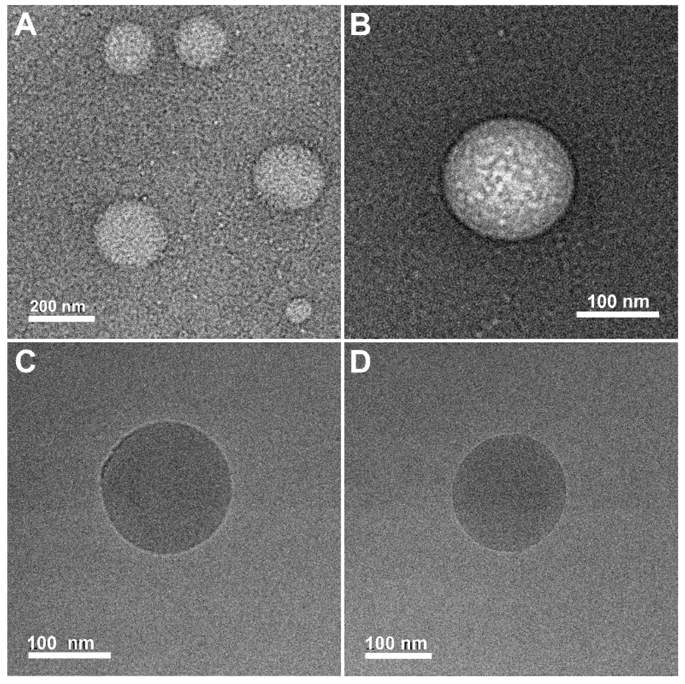 Materials 17 04524 g004