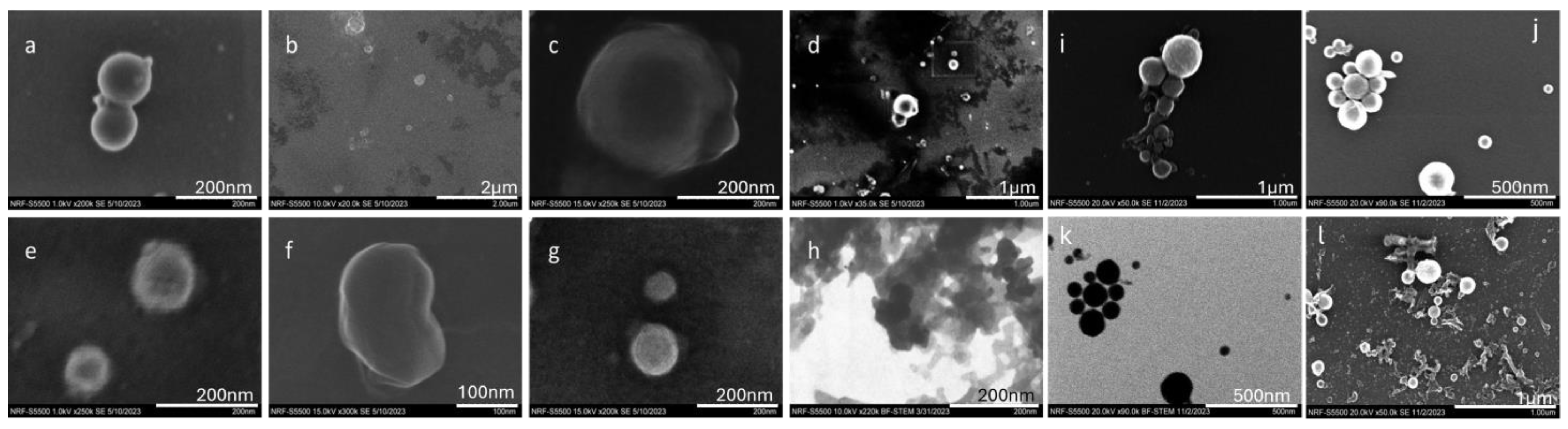 Materials 17 04527 g008