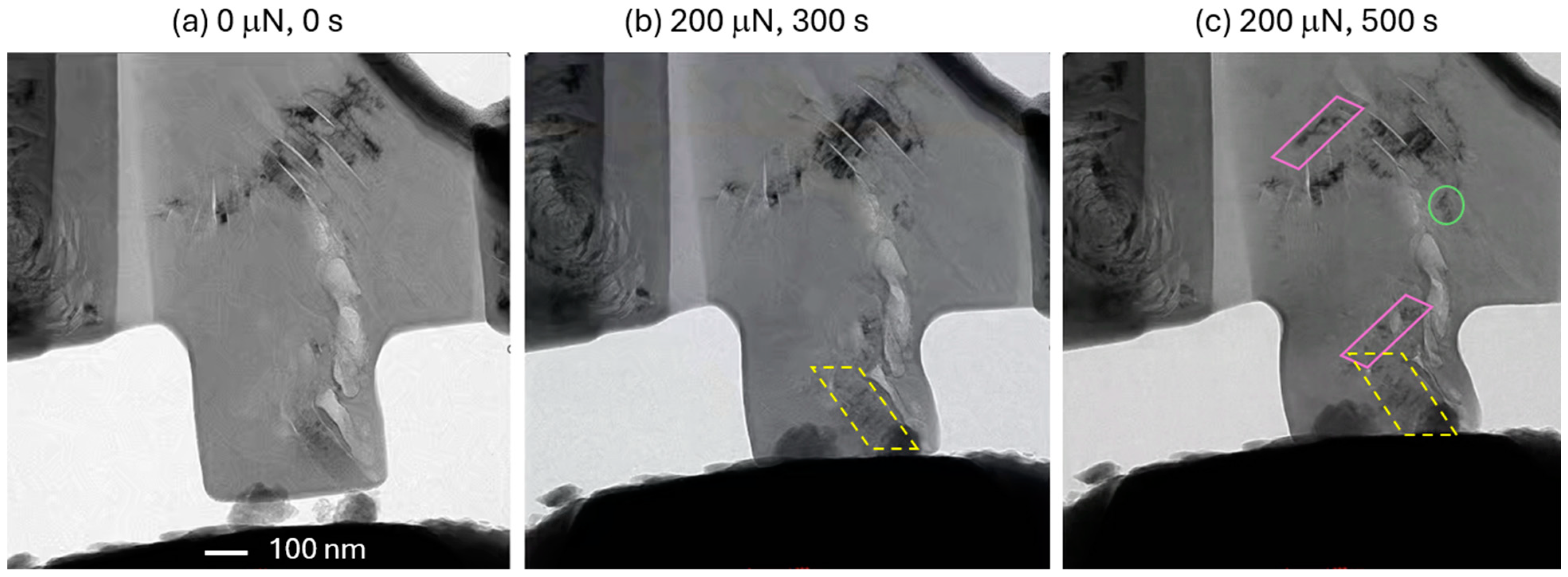 Materials 17 04530 g007