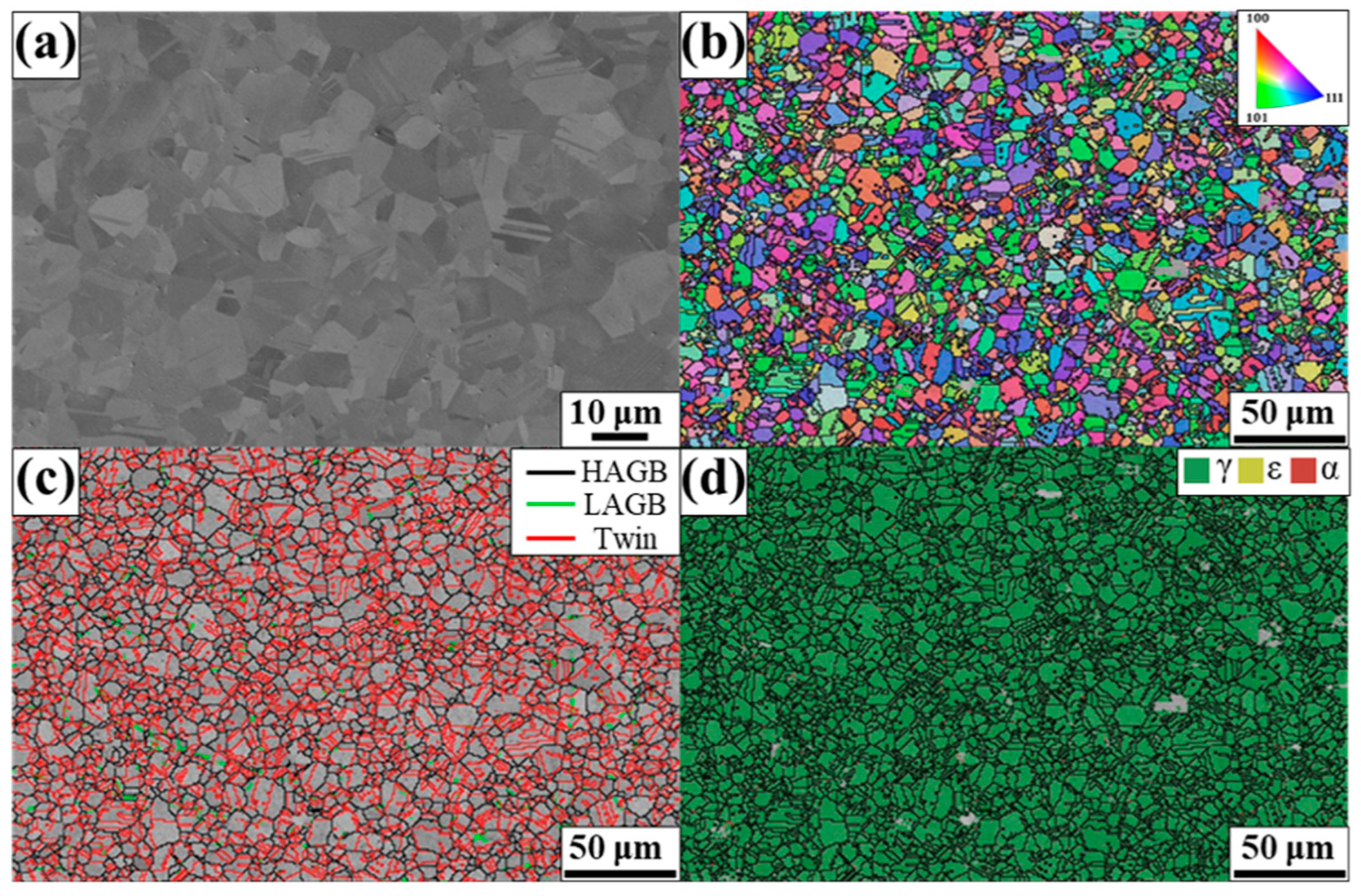 Materials 17 04547 g001