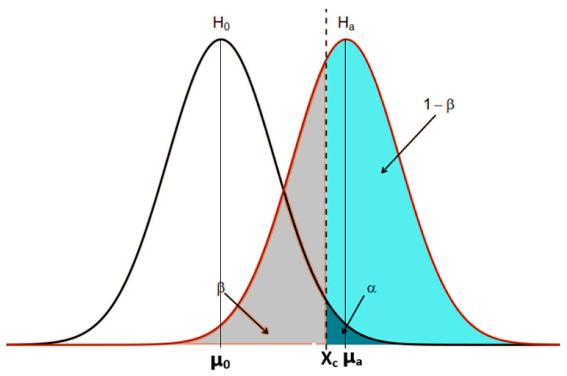Materials 17 04561 g002