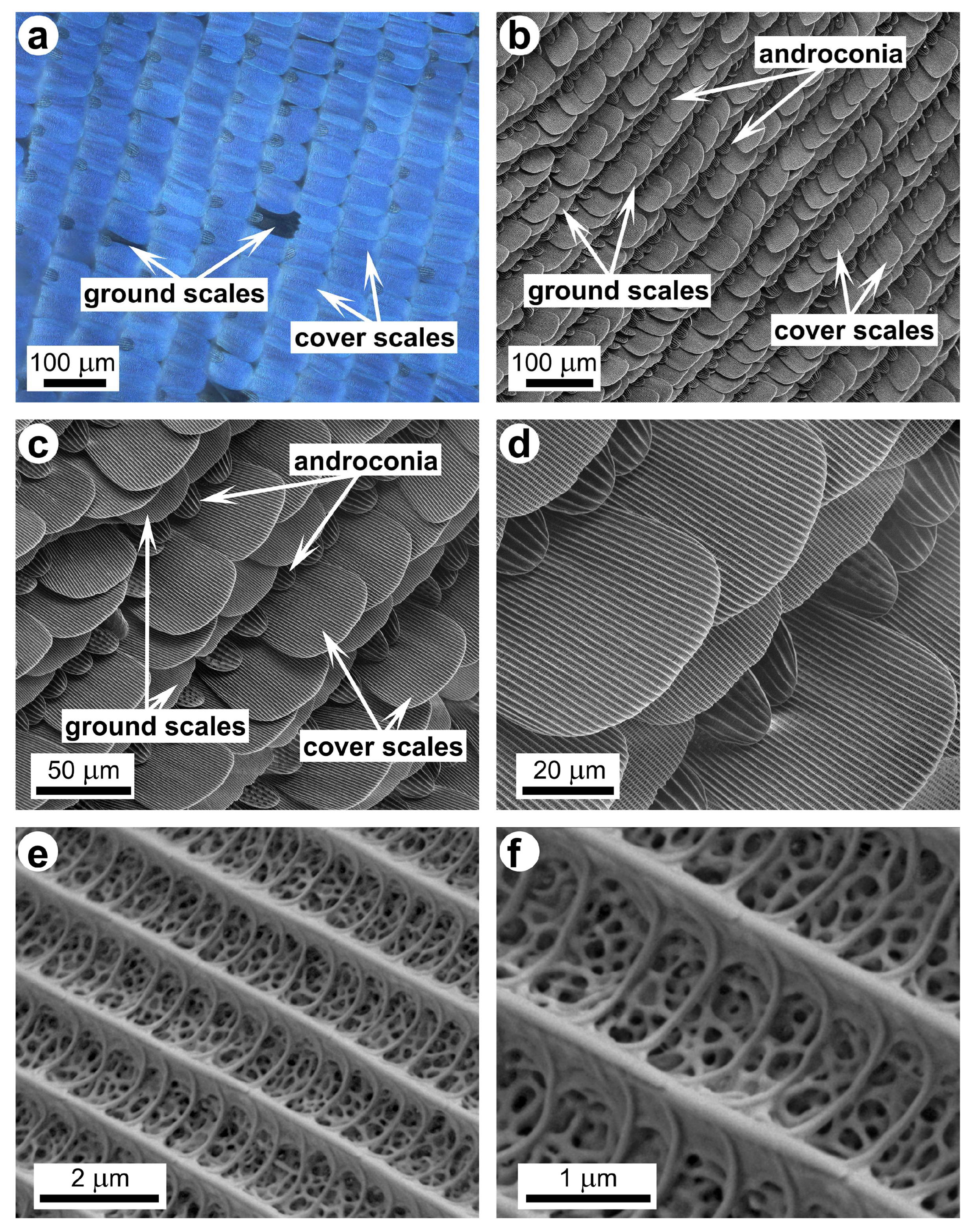 Materials 17 04575 g001