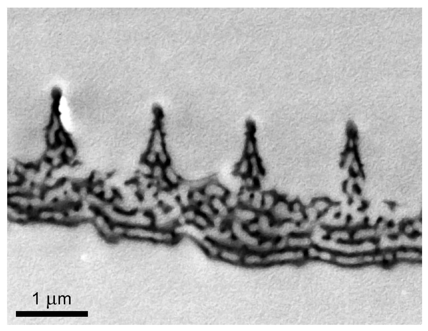 Materials 17 04575 g002