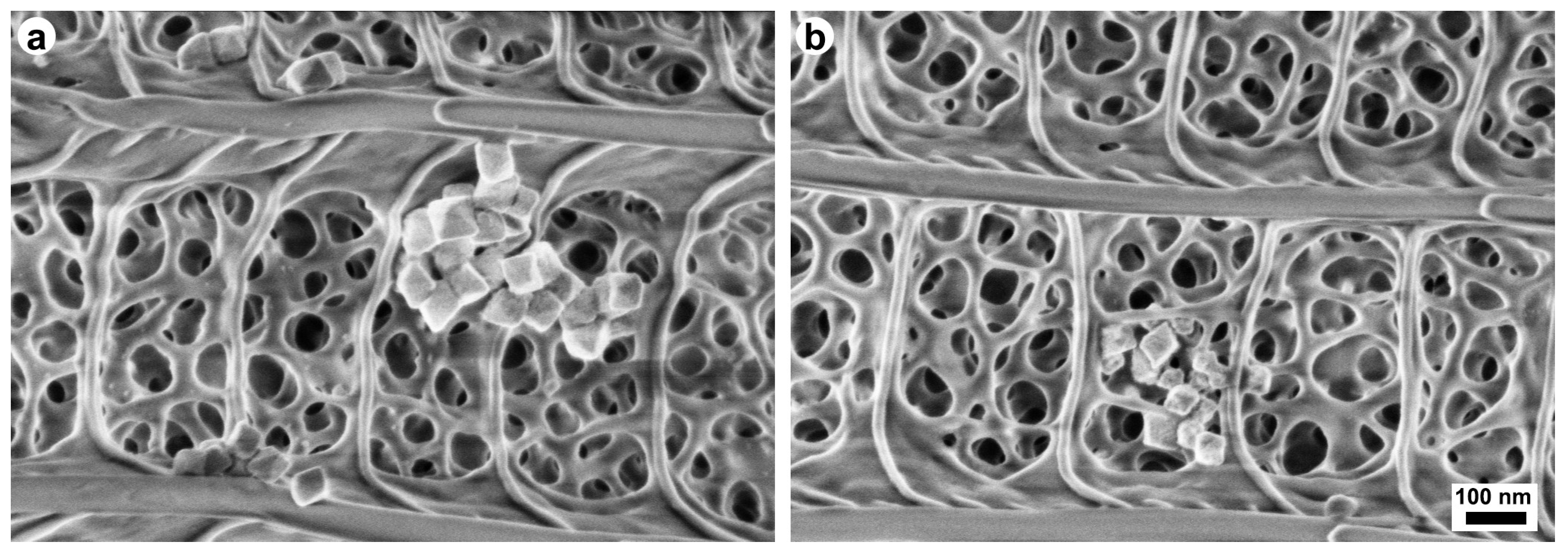 Materials 17 04575 g006