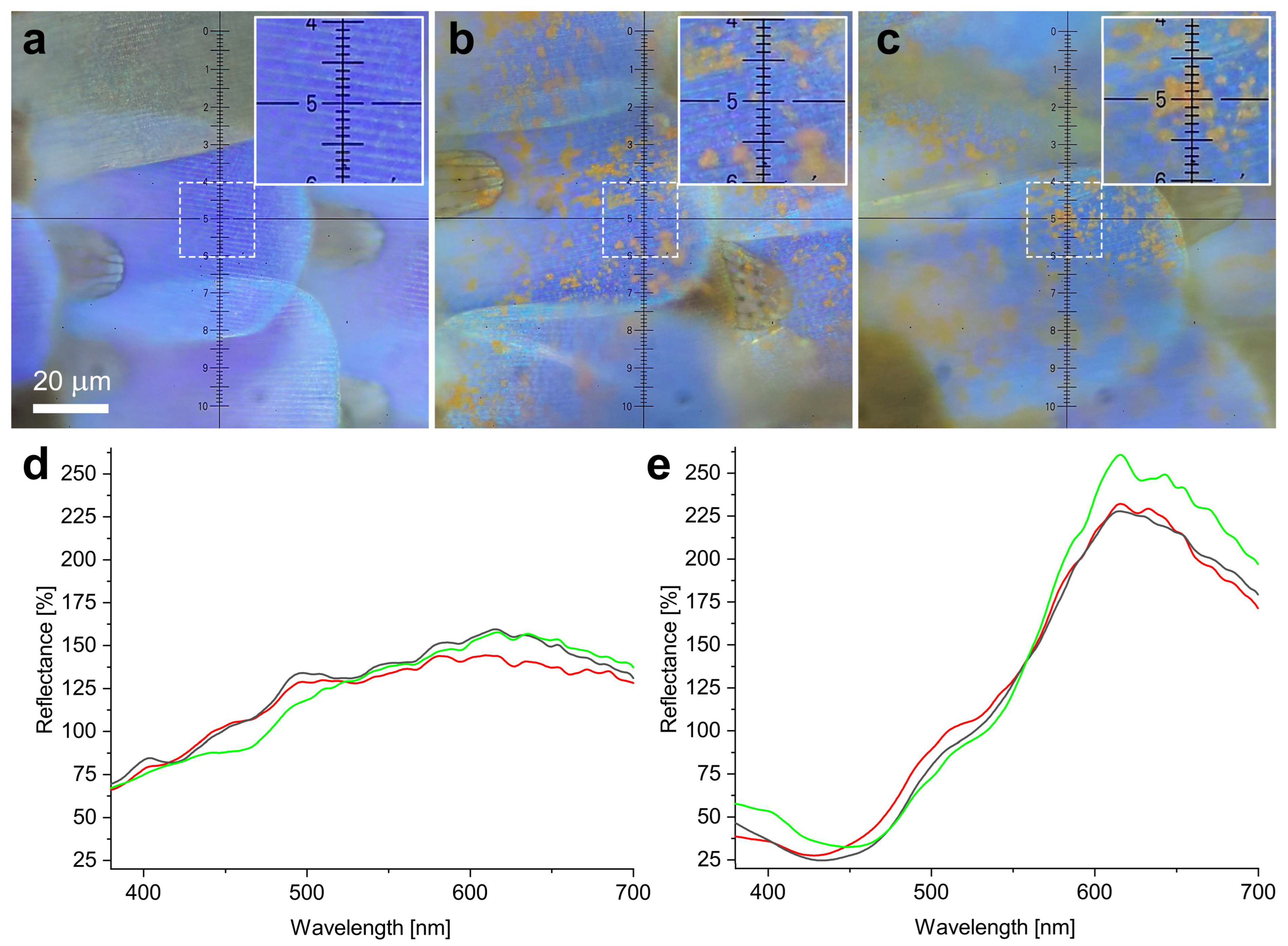 Materials 17 04575 g010