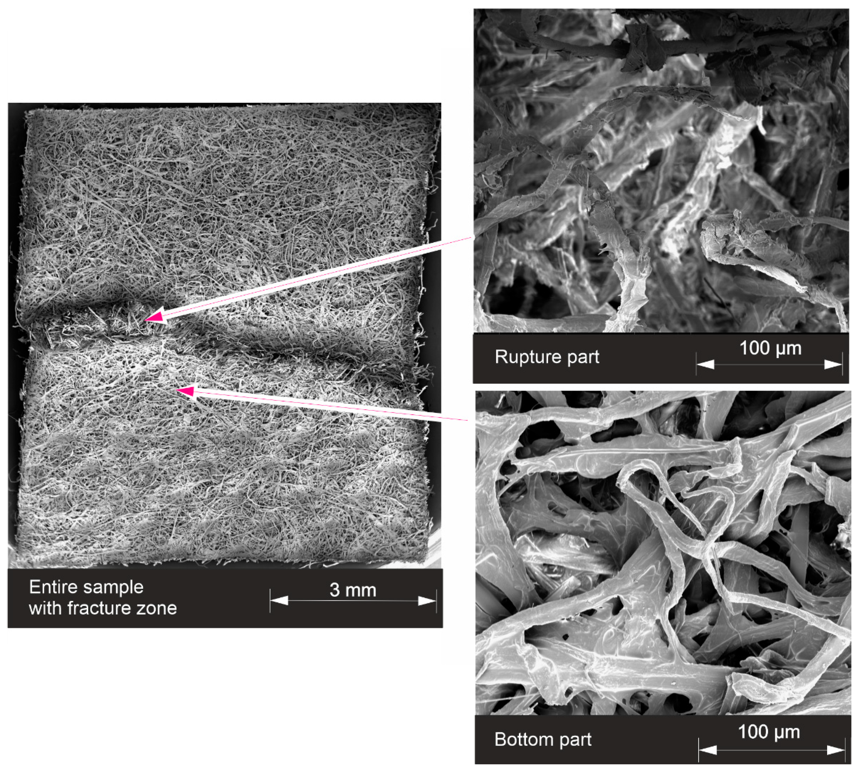 Materials 17 04578 g010