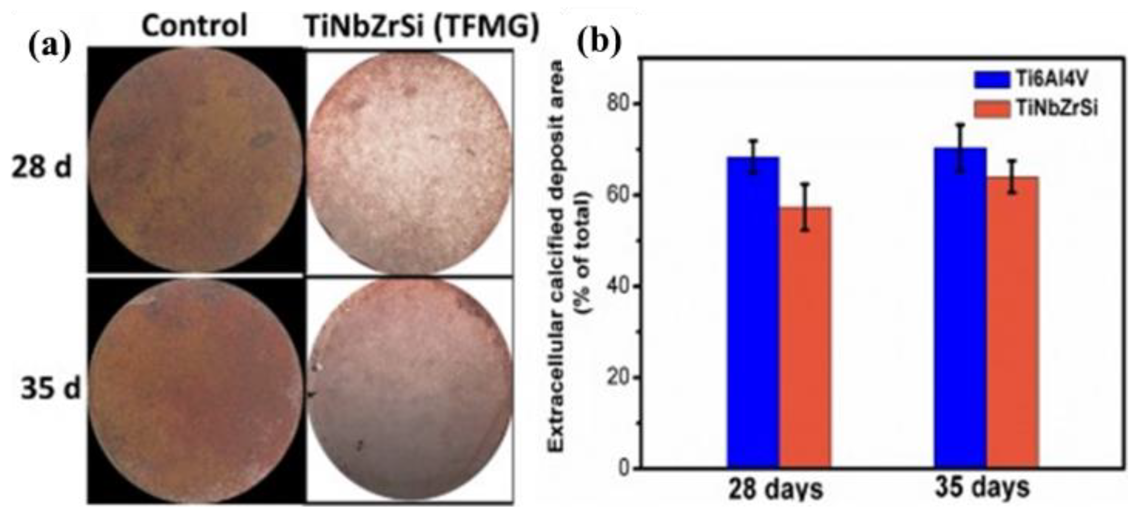 Materials 17 04587 g007