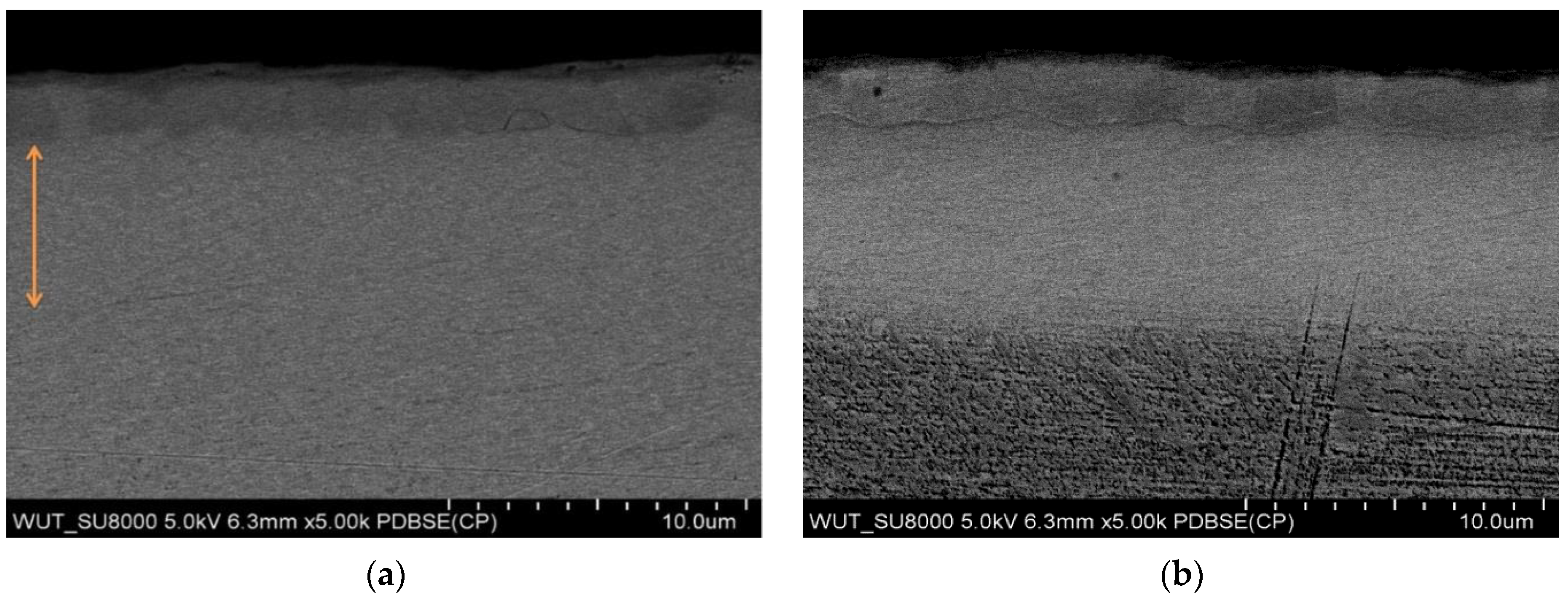 Materials 17 04592 g007